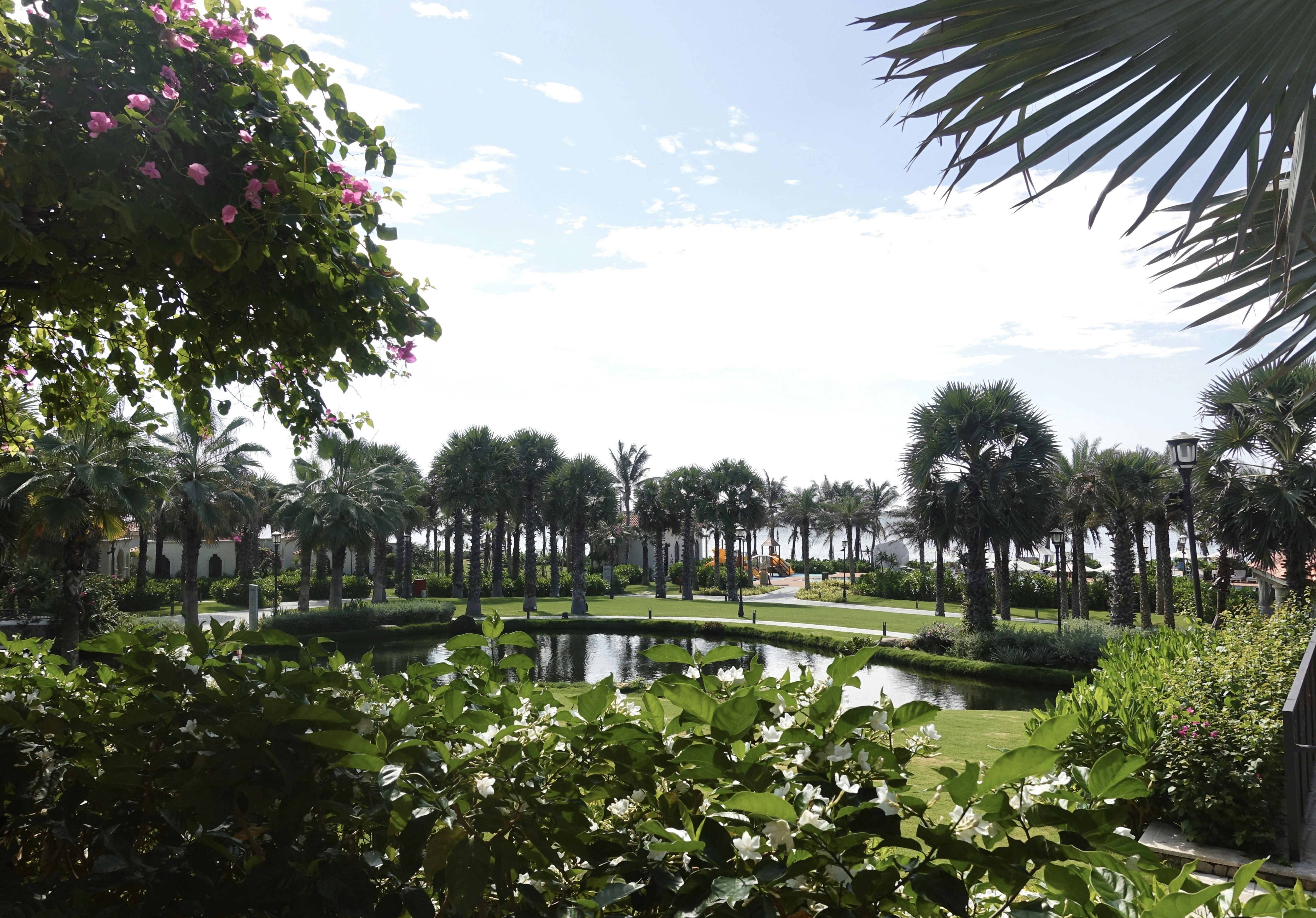 A lush green park with a pond surrounded by trees