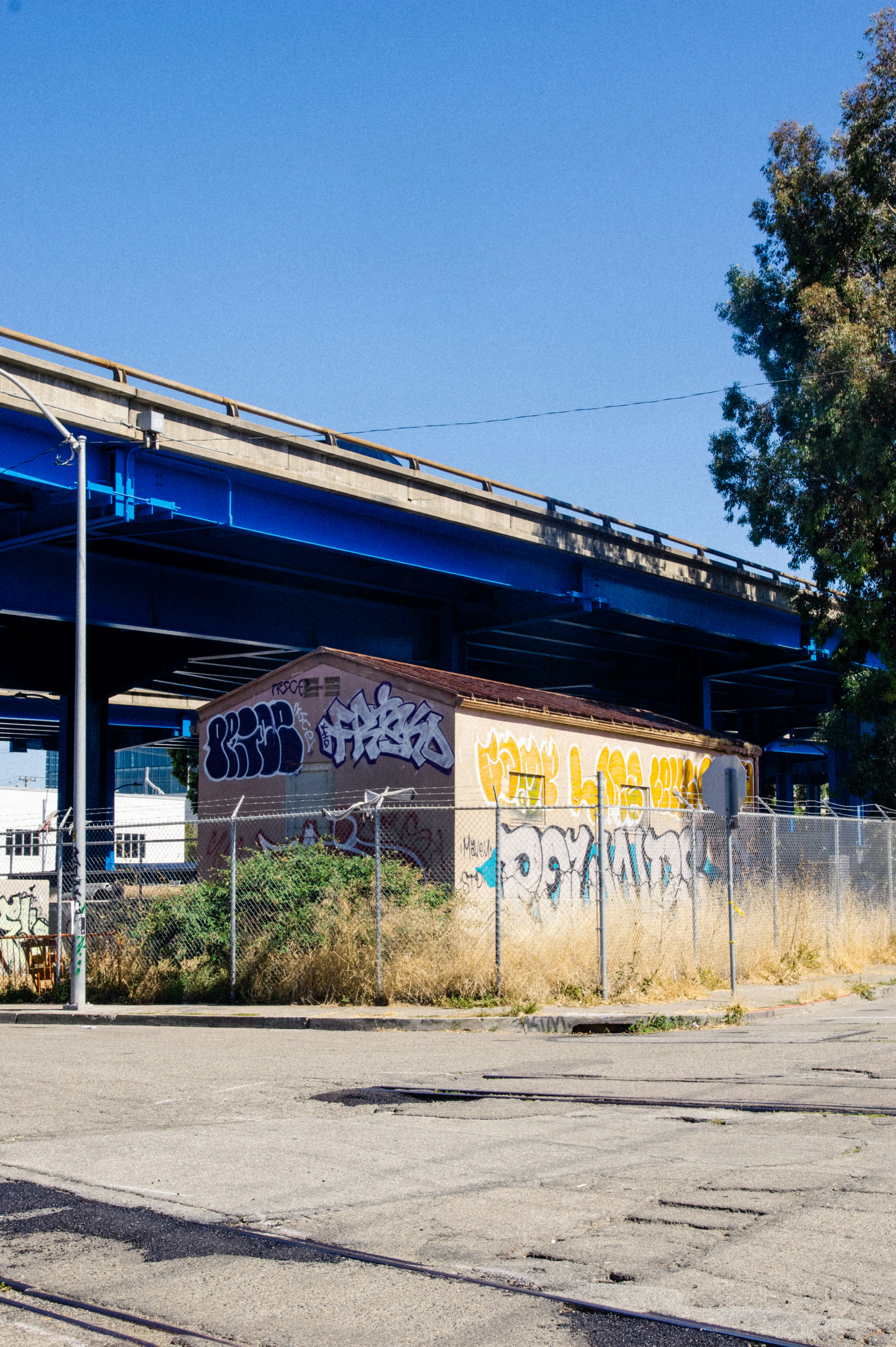 Photo by bronsonvalley