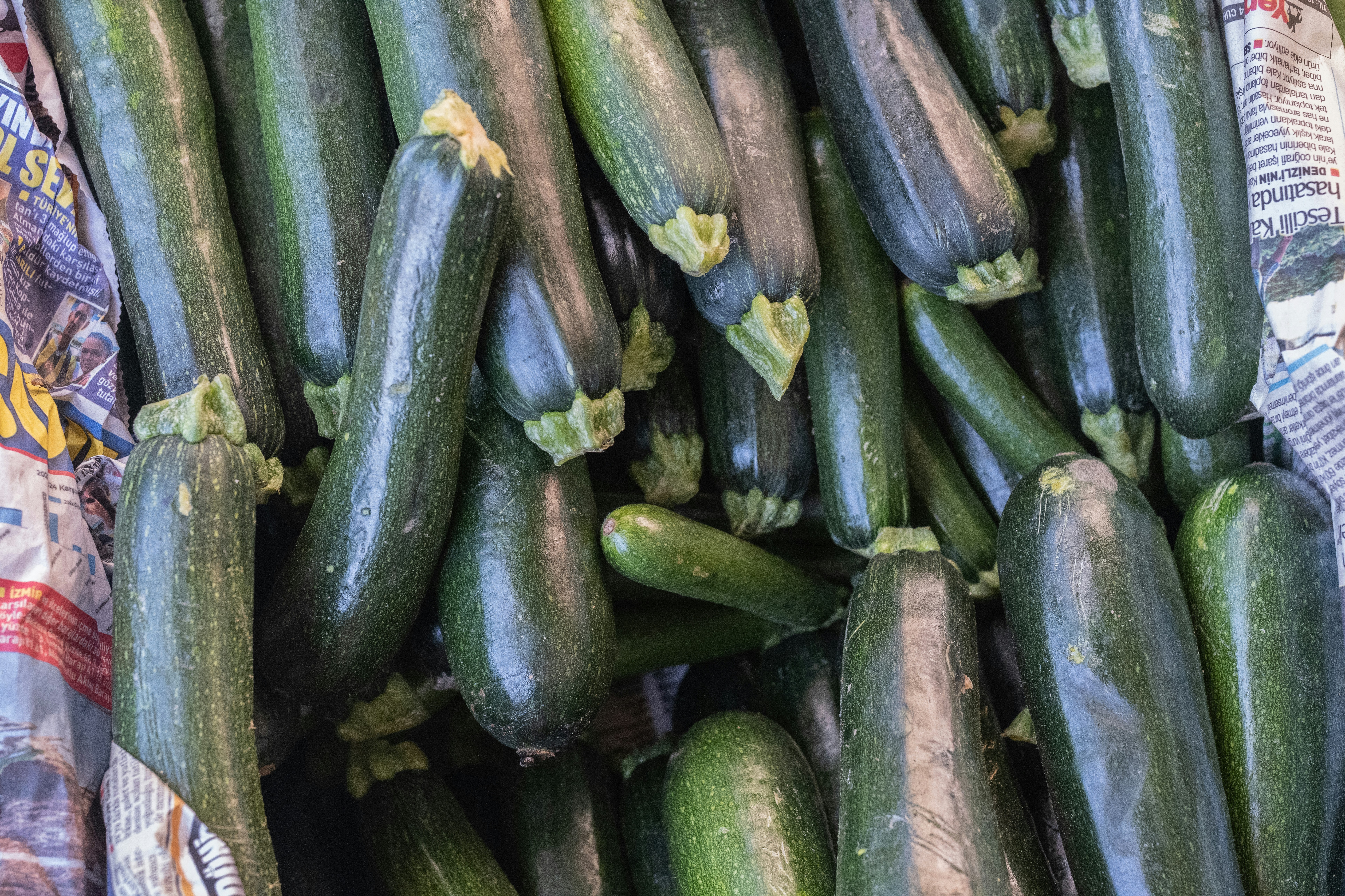 A pile of cucumbers sitting next to each other