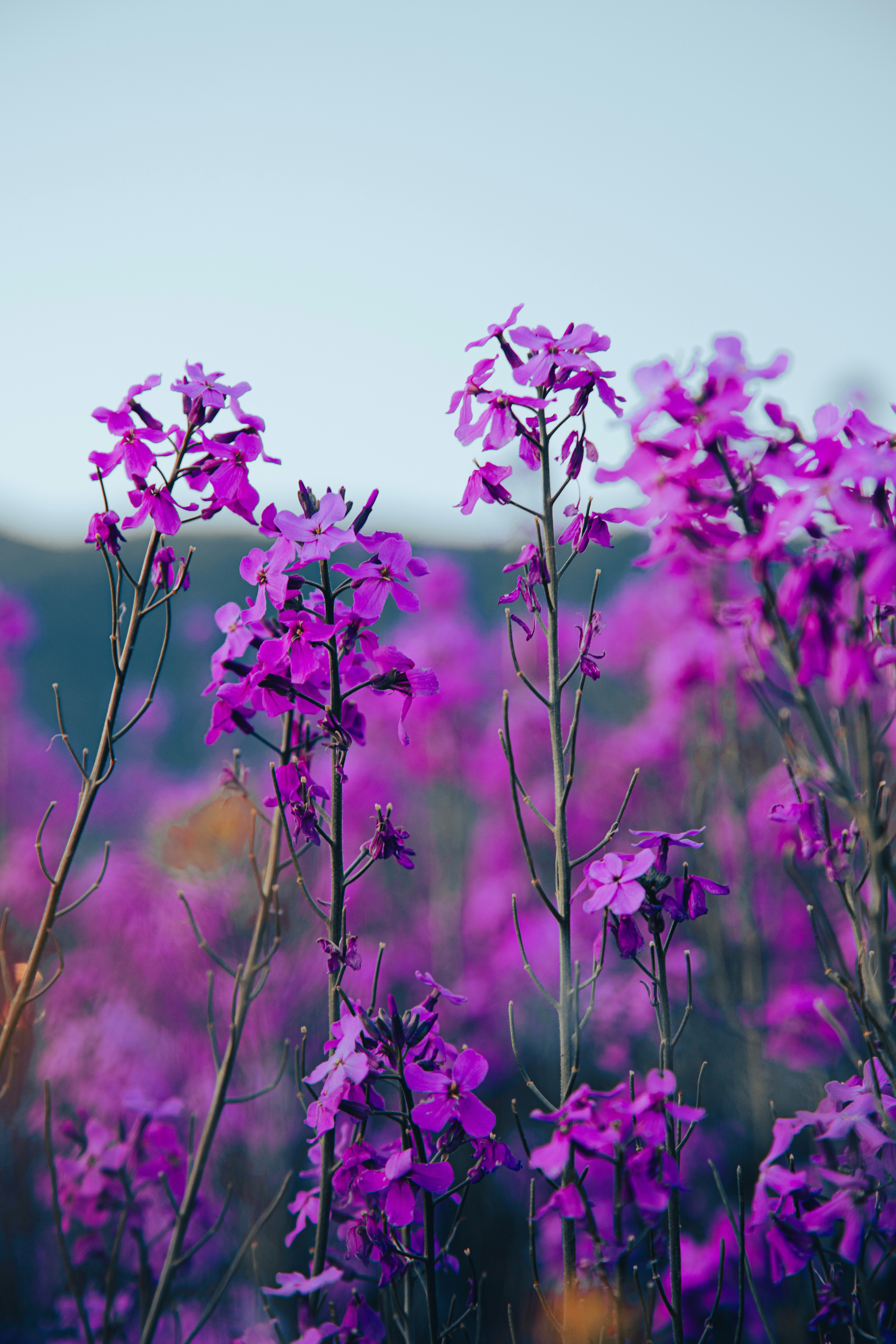 Photo by douglasalan