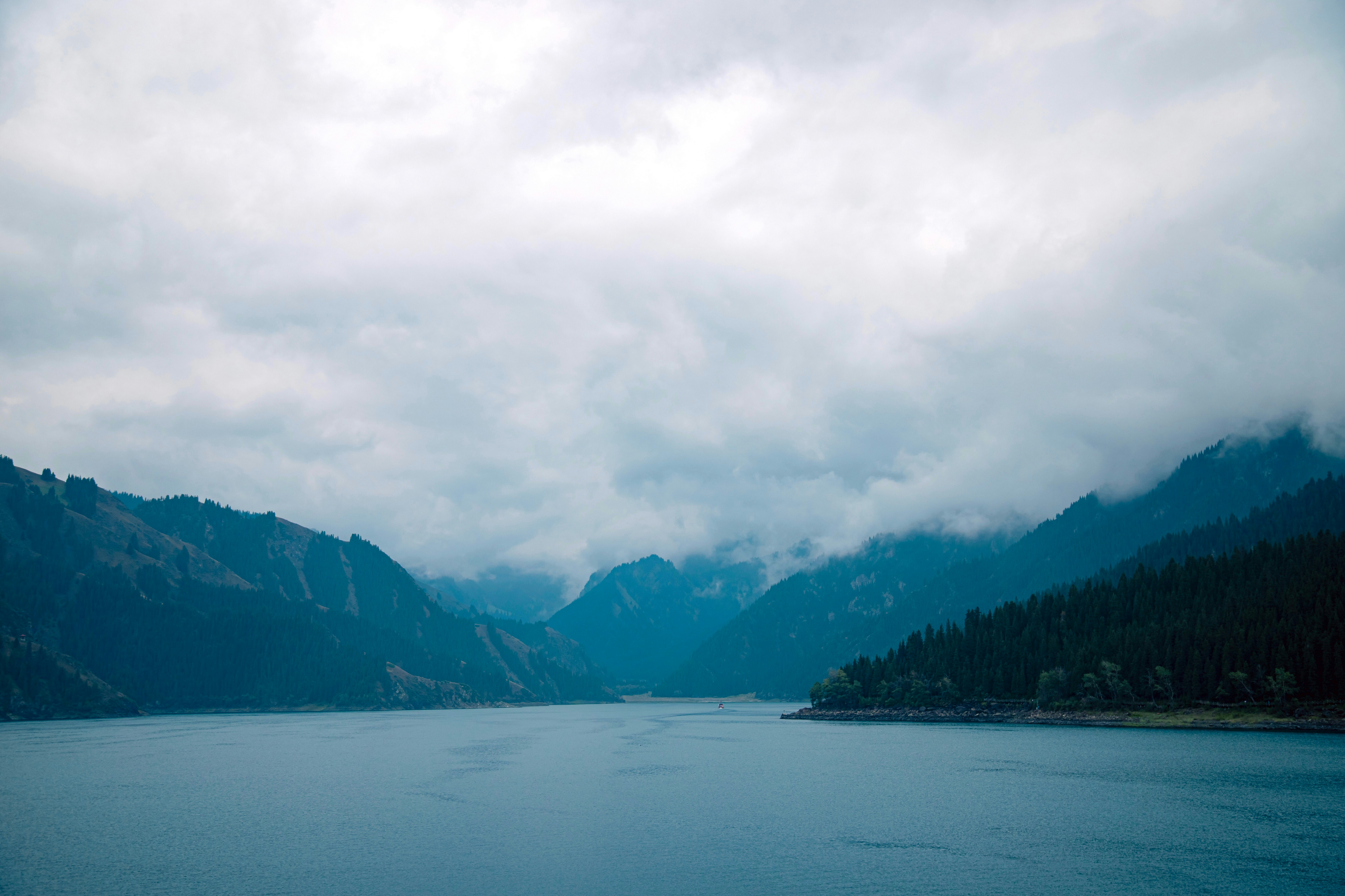 Photo by douglasalan