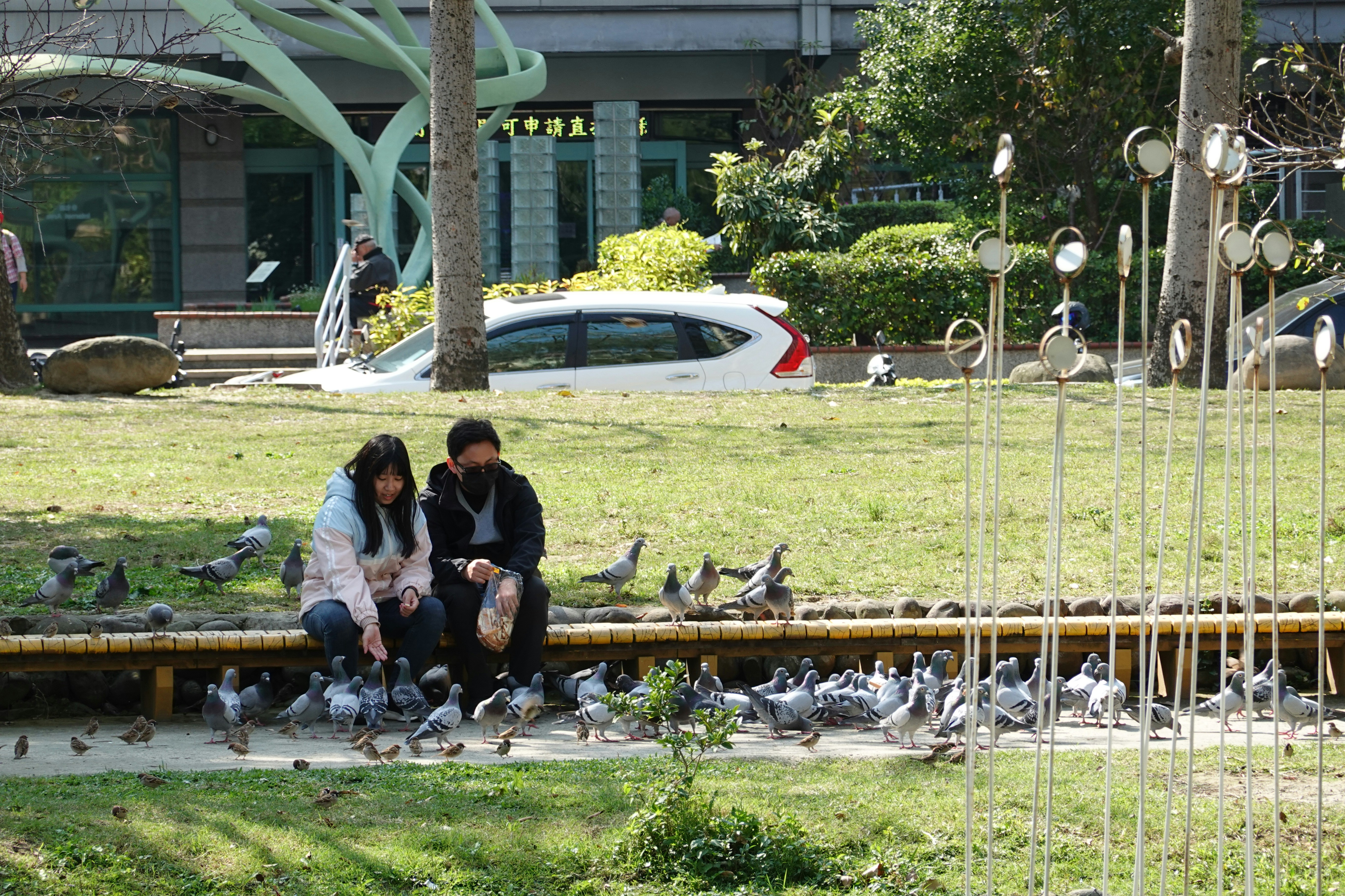 Two people sitting on a bench surrounded by birds