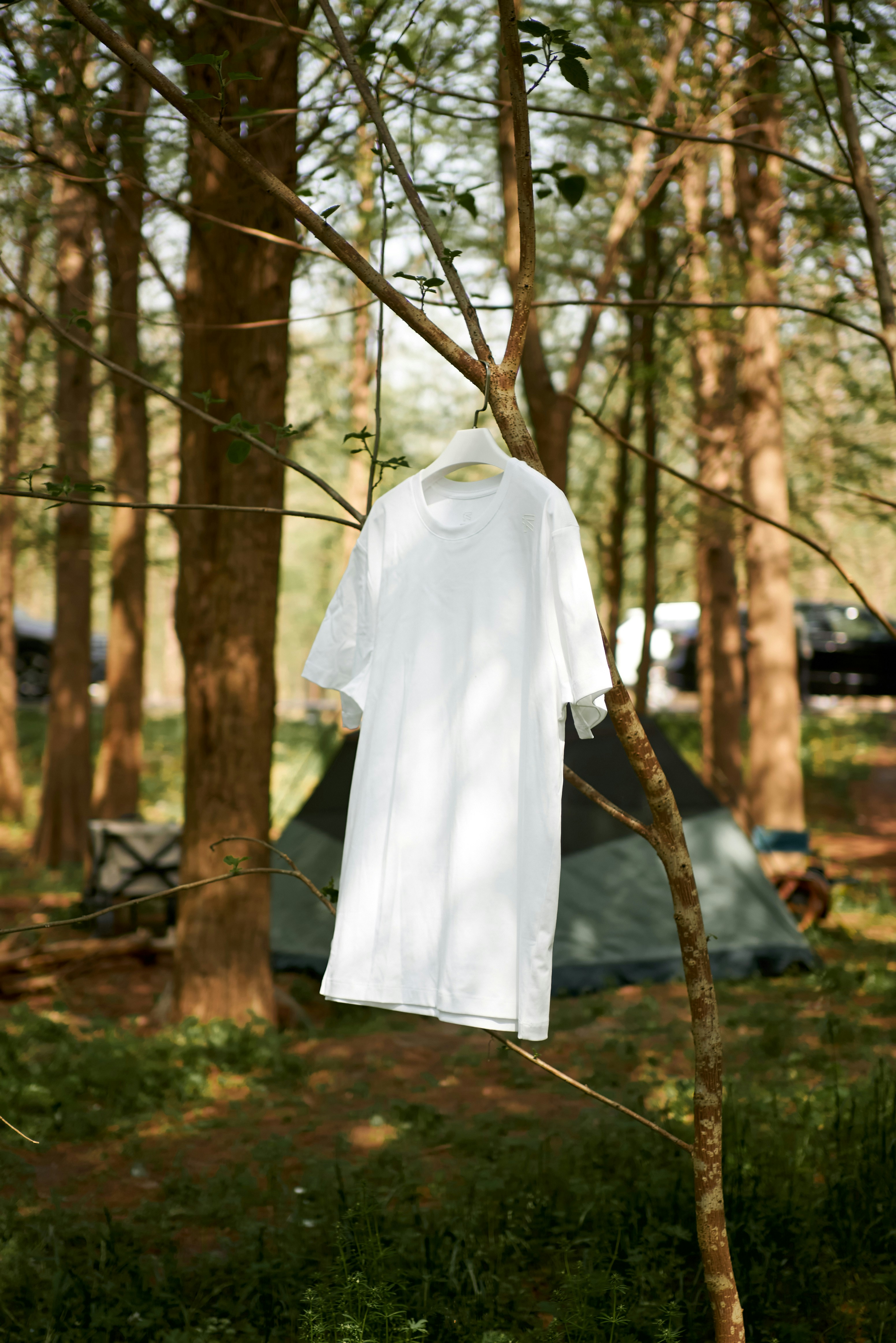 숲 속의 나무에 매달려 있는 흰색 티셔츠