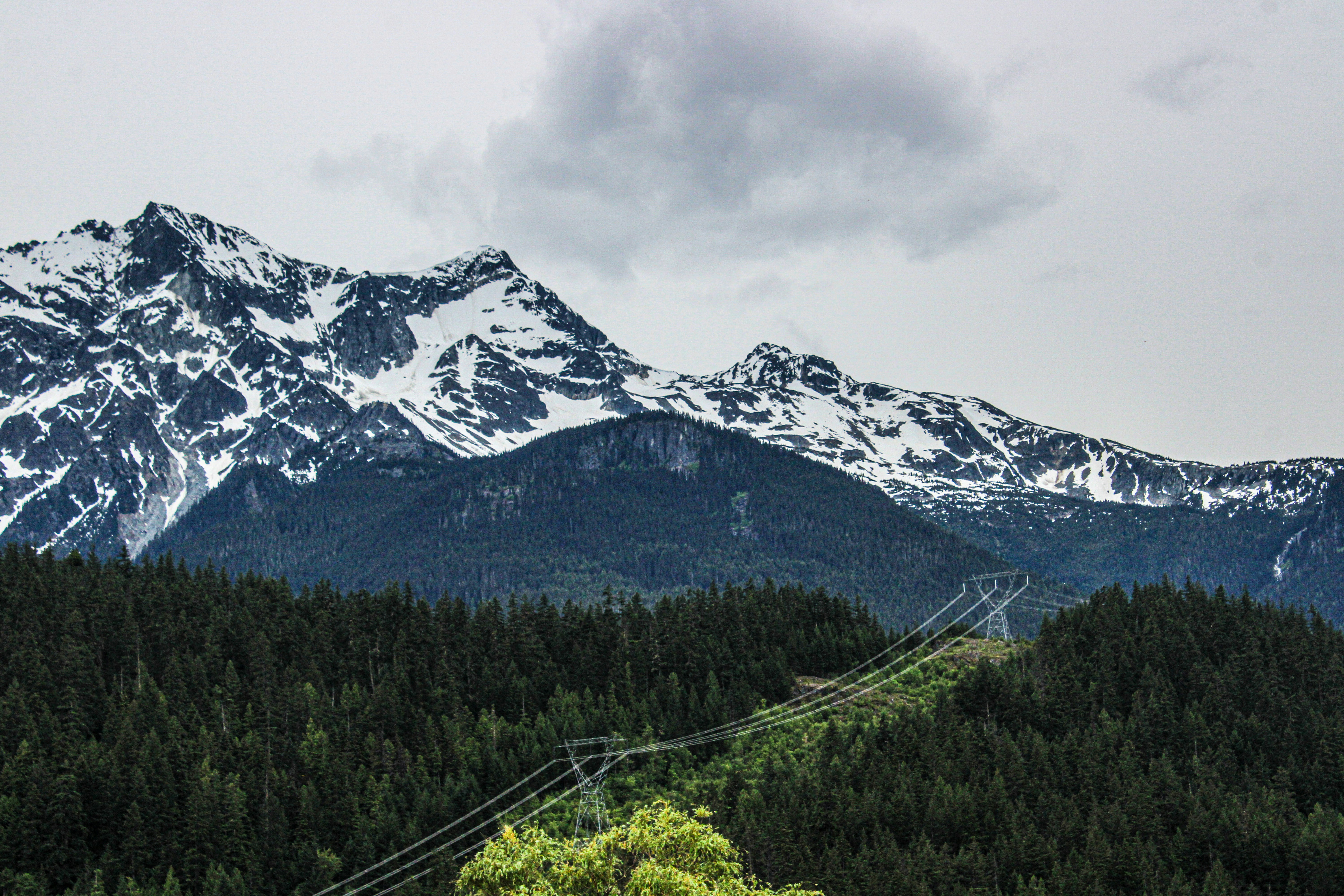 Photo by prphotography262