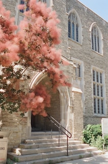 A tree with pink flowers in front of a building