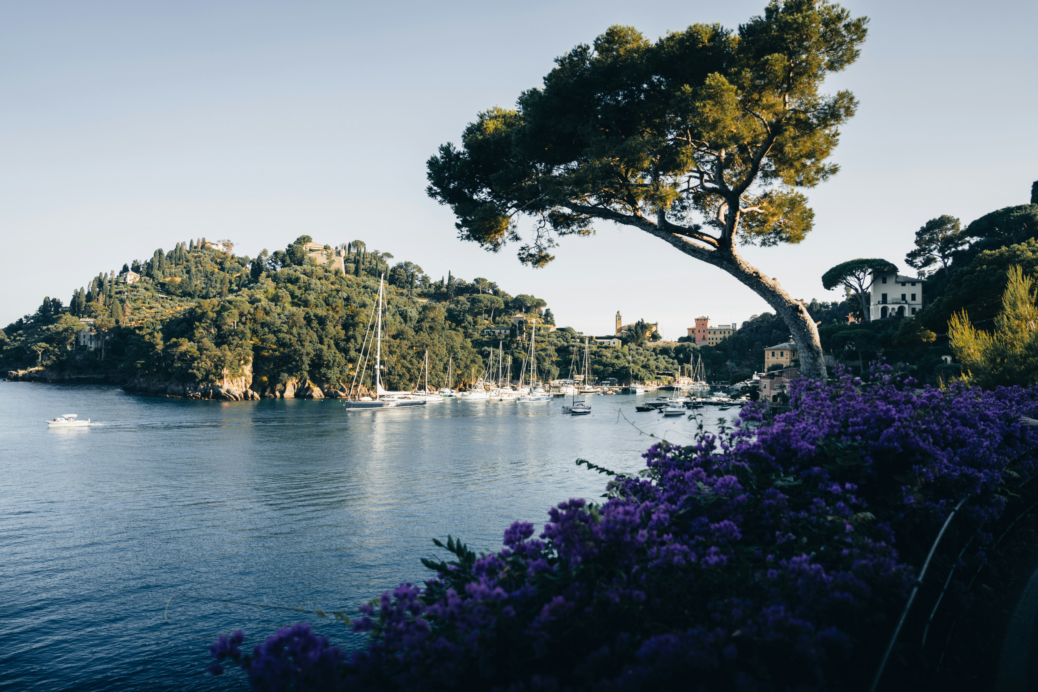 Photo by lifeof_peter_