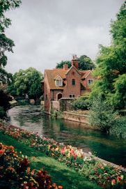A river running through a lush green park
