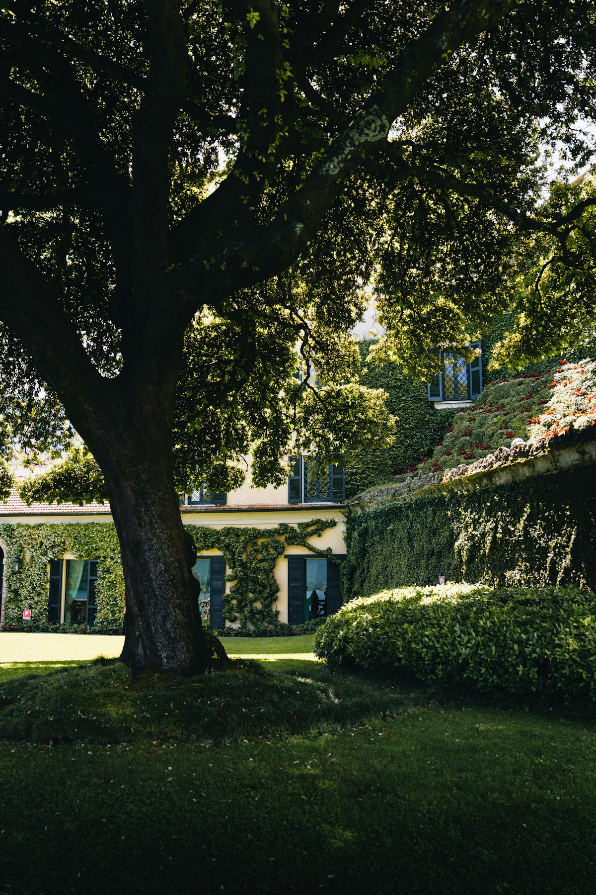Conac de patrimoniu cu arbori maturi în prim plan