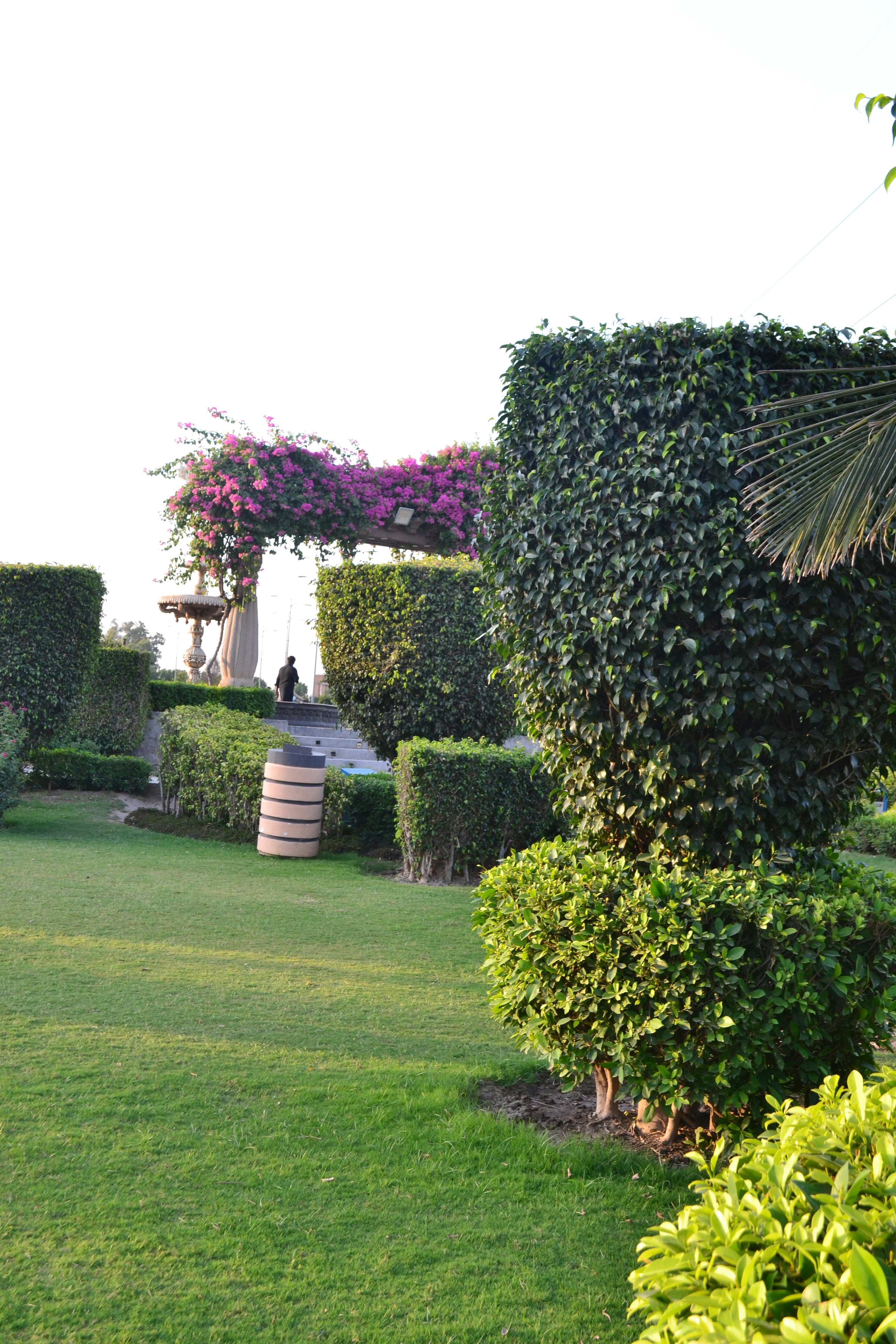 Elegant garden landscaping