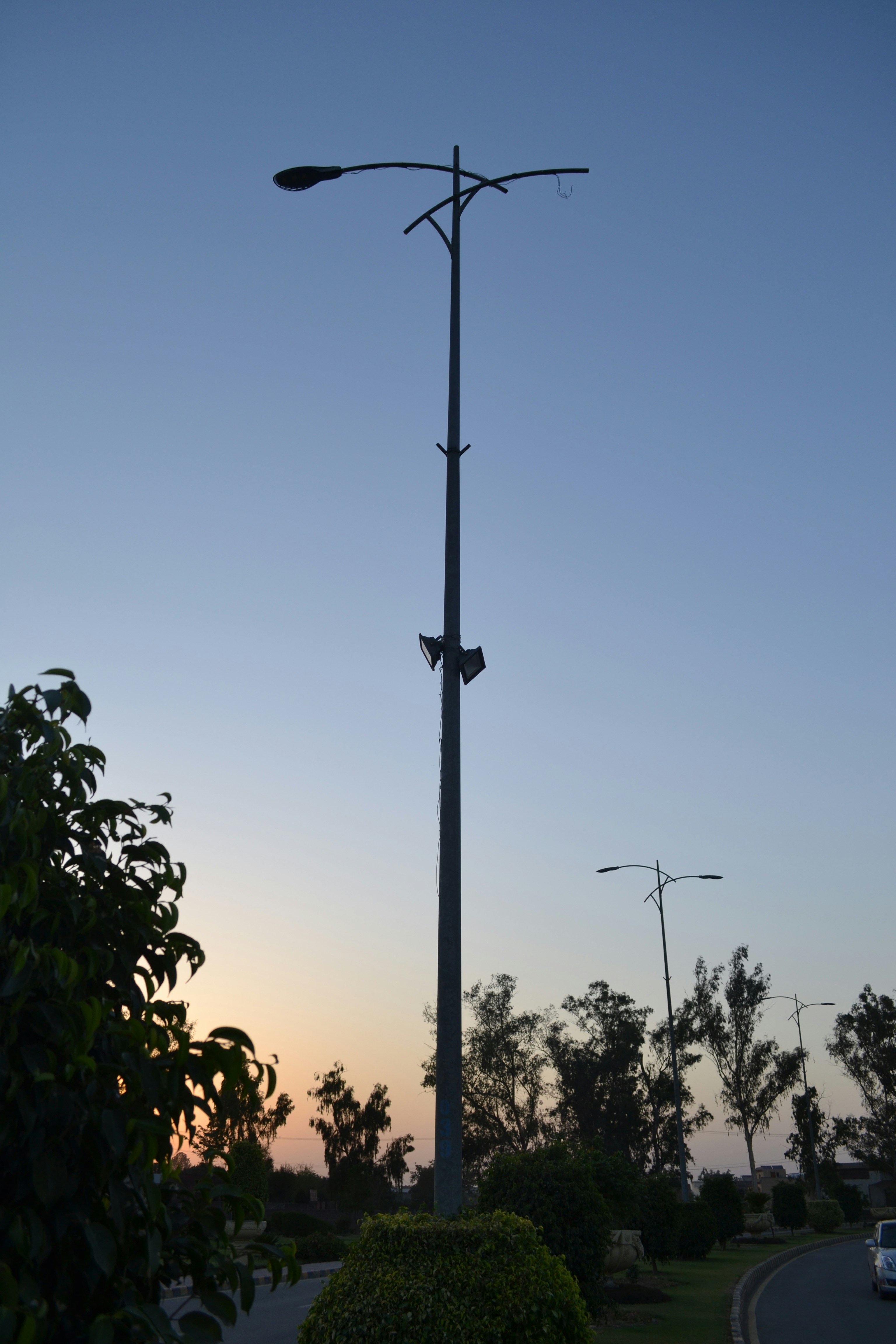 A street light sitting next to a lush green park photo – Free Car Image ...