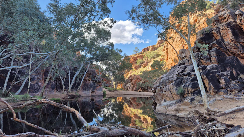 Best Outdoor Seating Restaurants in Alice Springs for Dining Under Open Skies