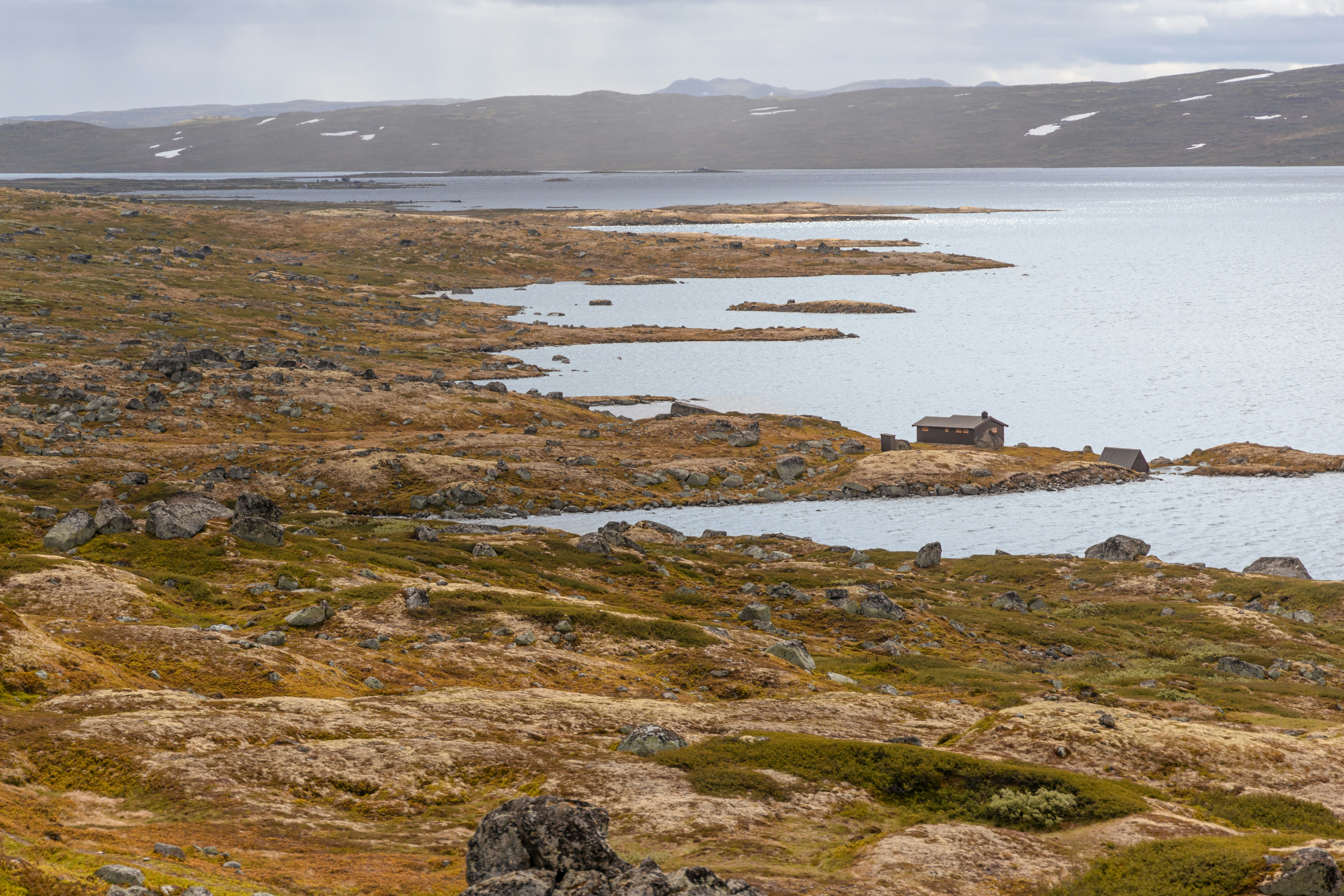 Photo by nik_nikolla_