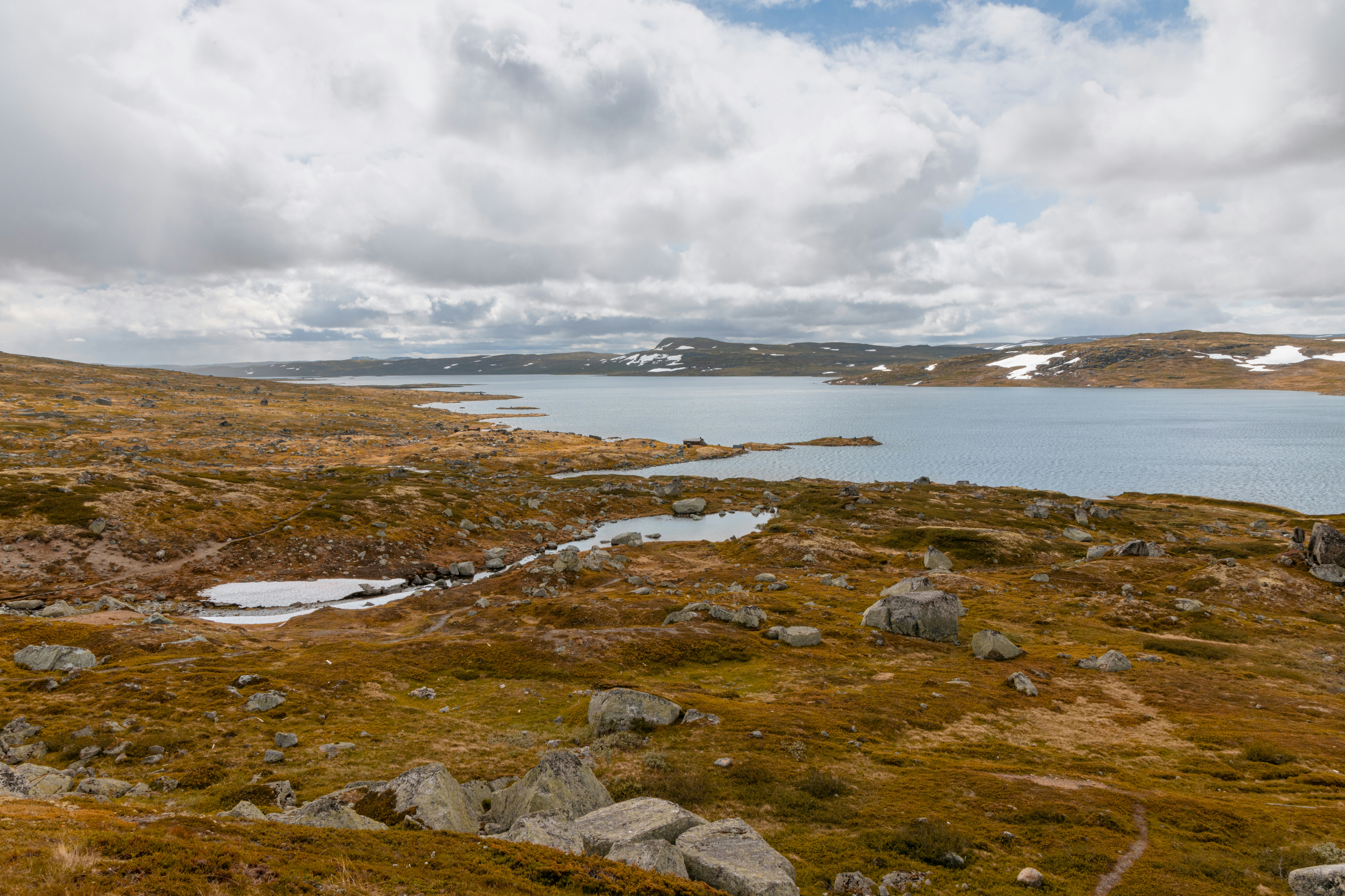 Photo by nik_nikolla_