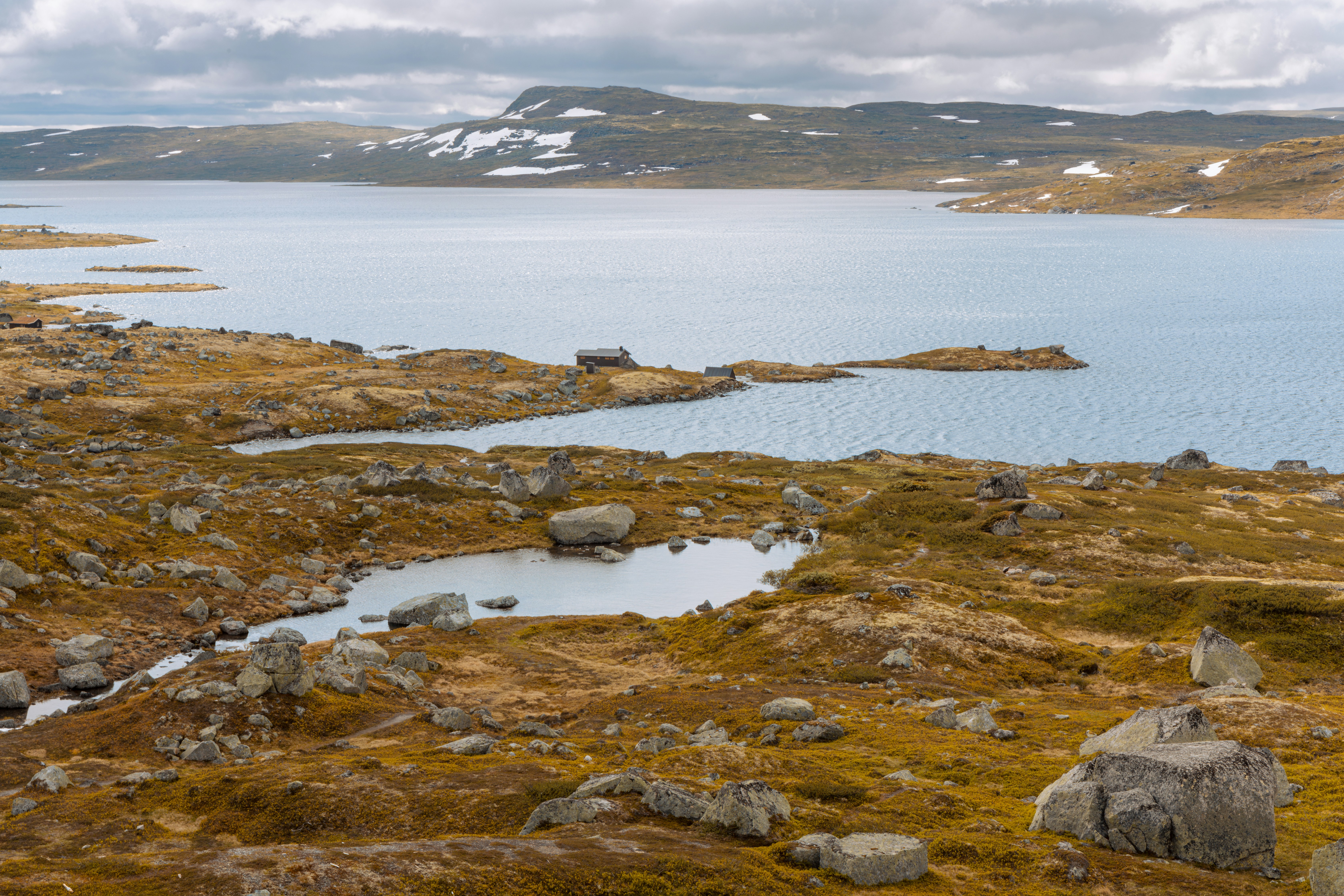 Photo by nik_nikolla_