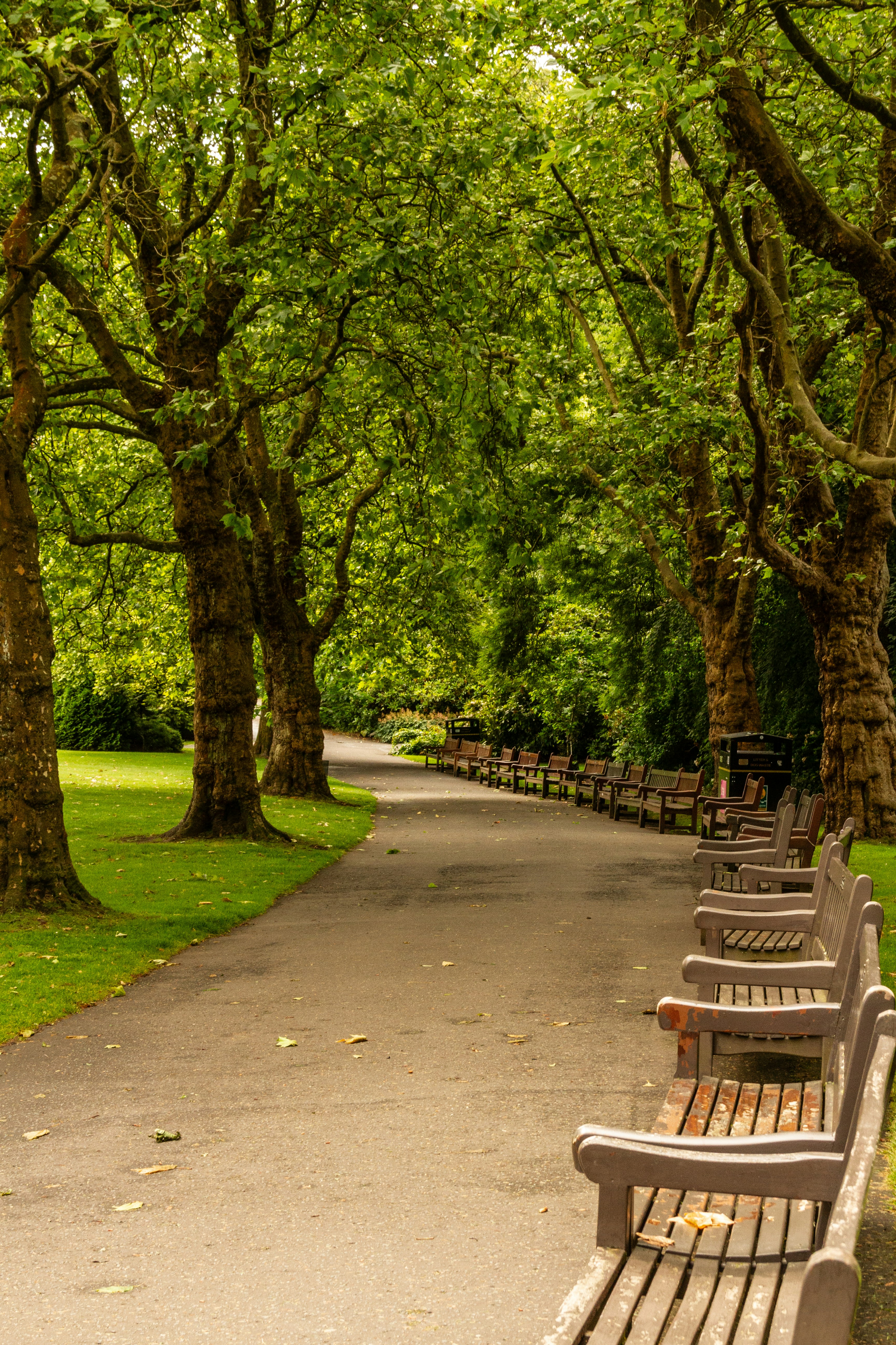 Glasgow Botanic Gardens photo 3