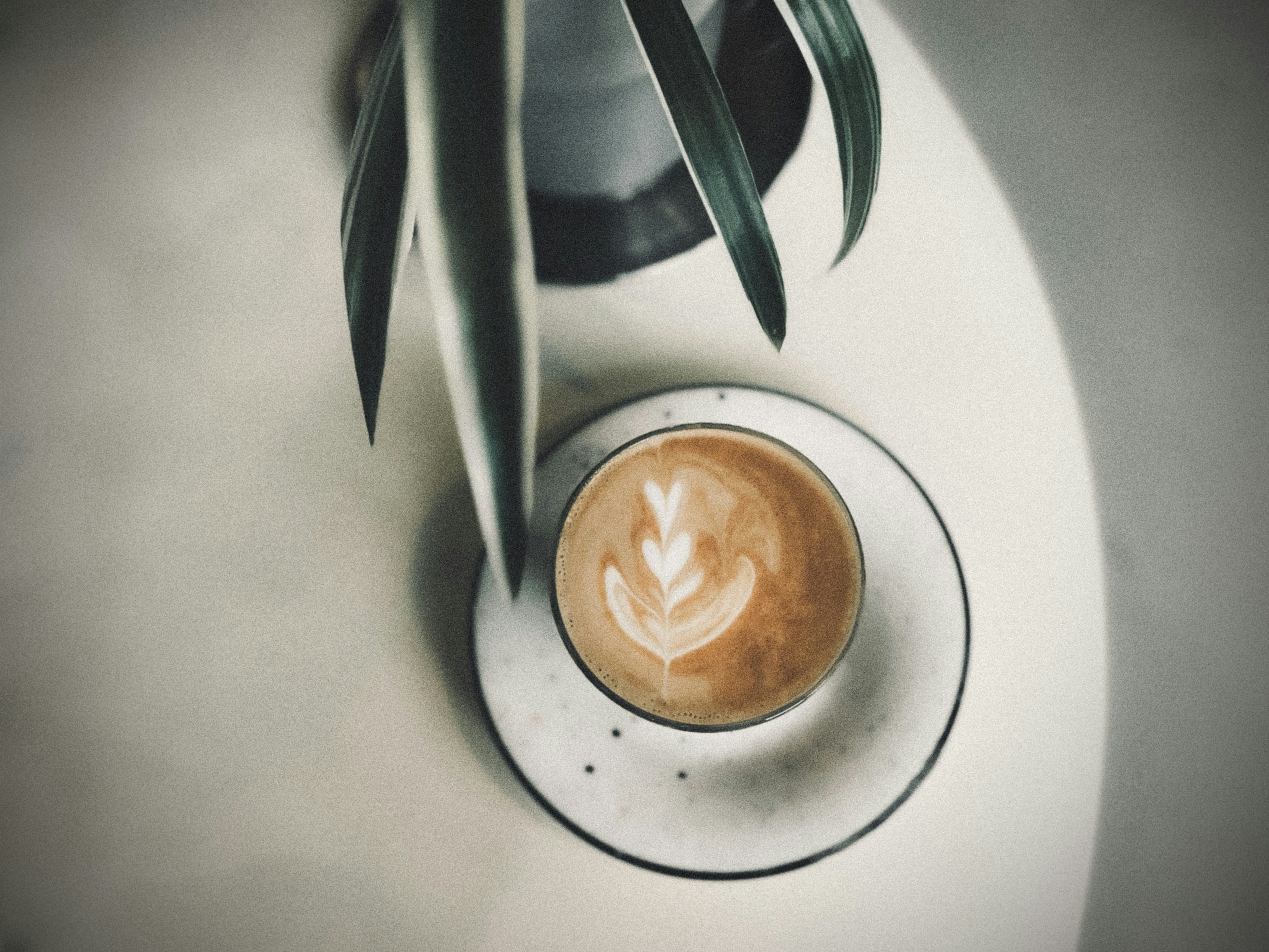 Photo by unidentifieduser