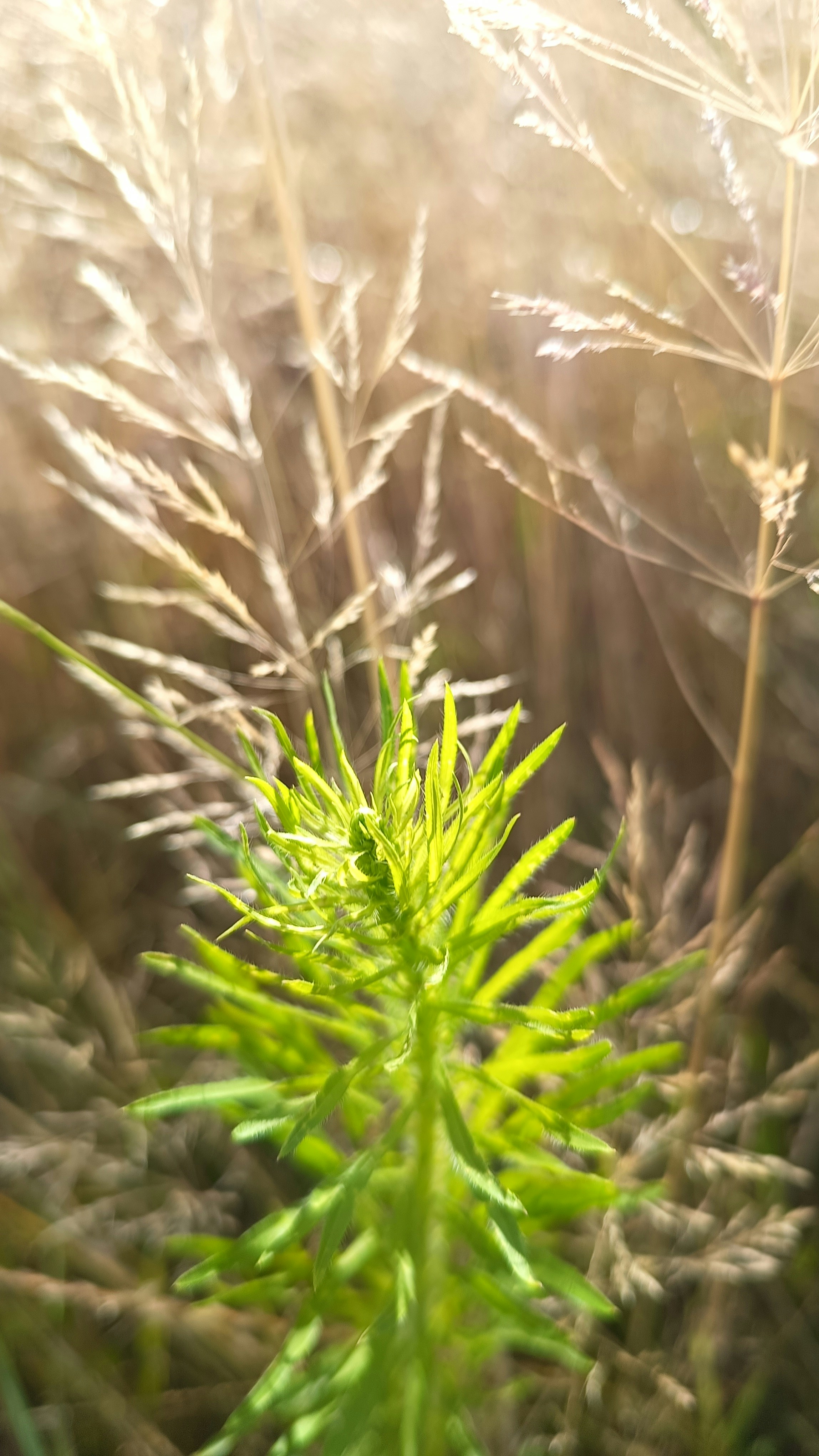 Photo by lena_mastej