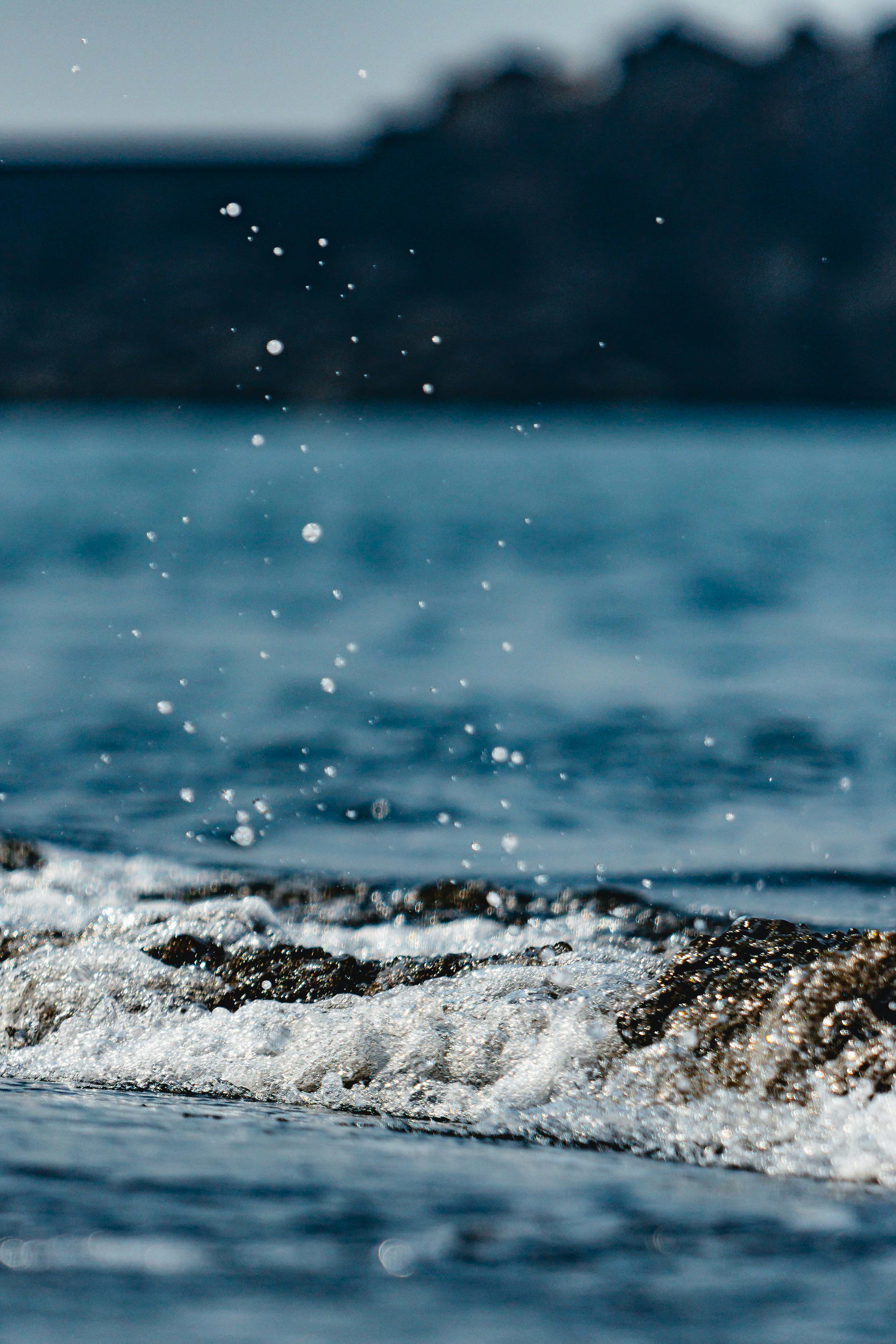 A bird flying over a body of water