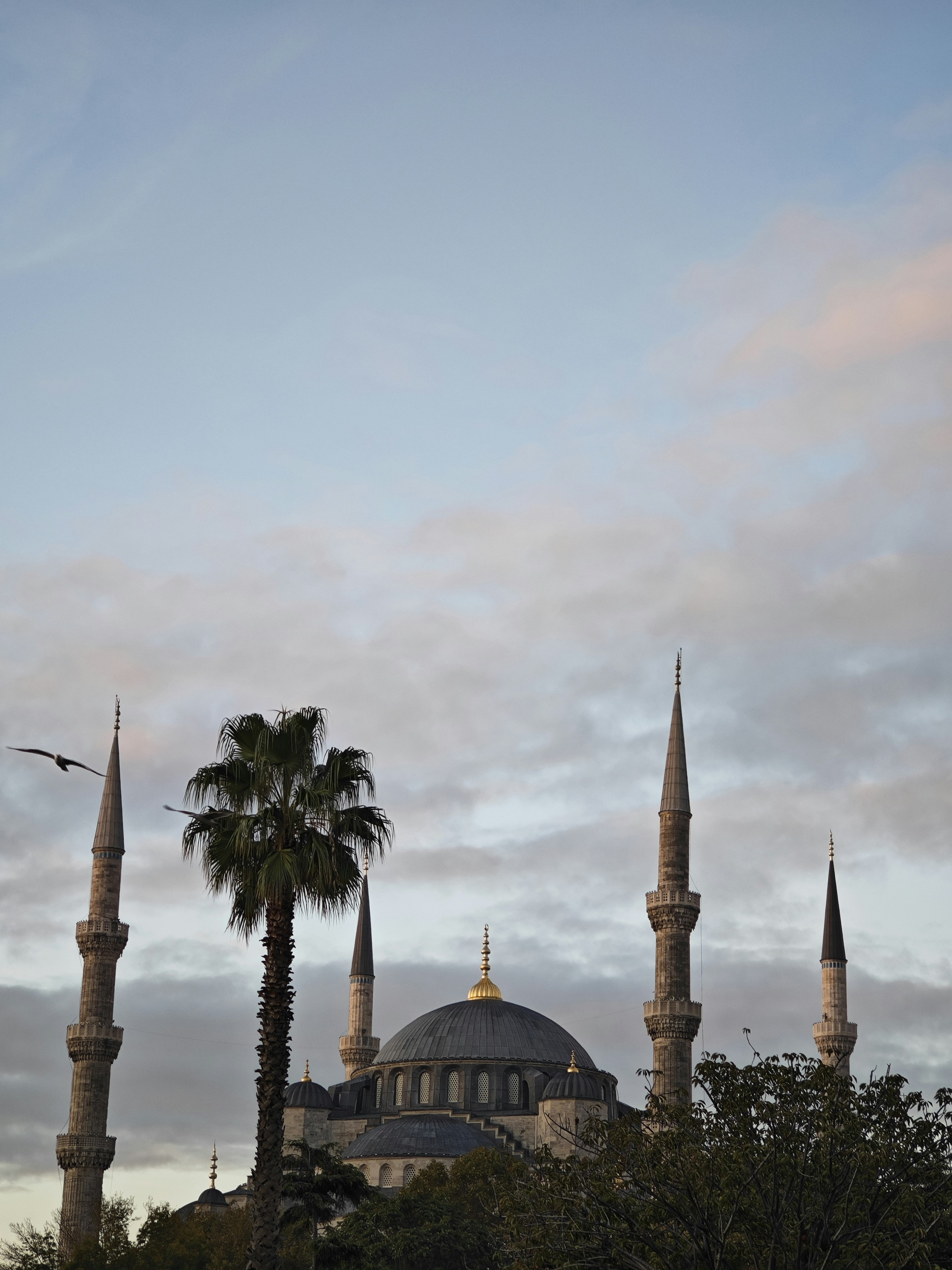 A view of a large building with many spires