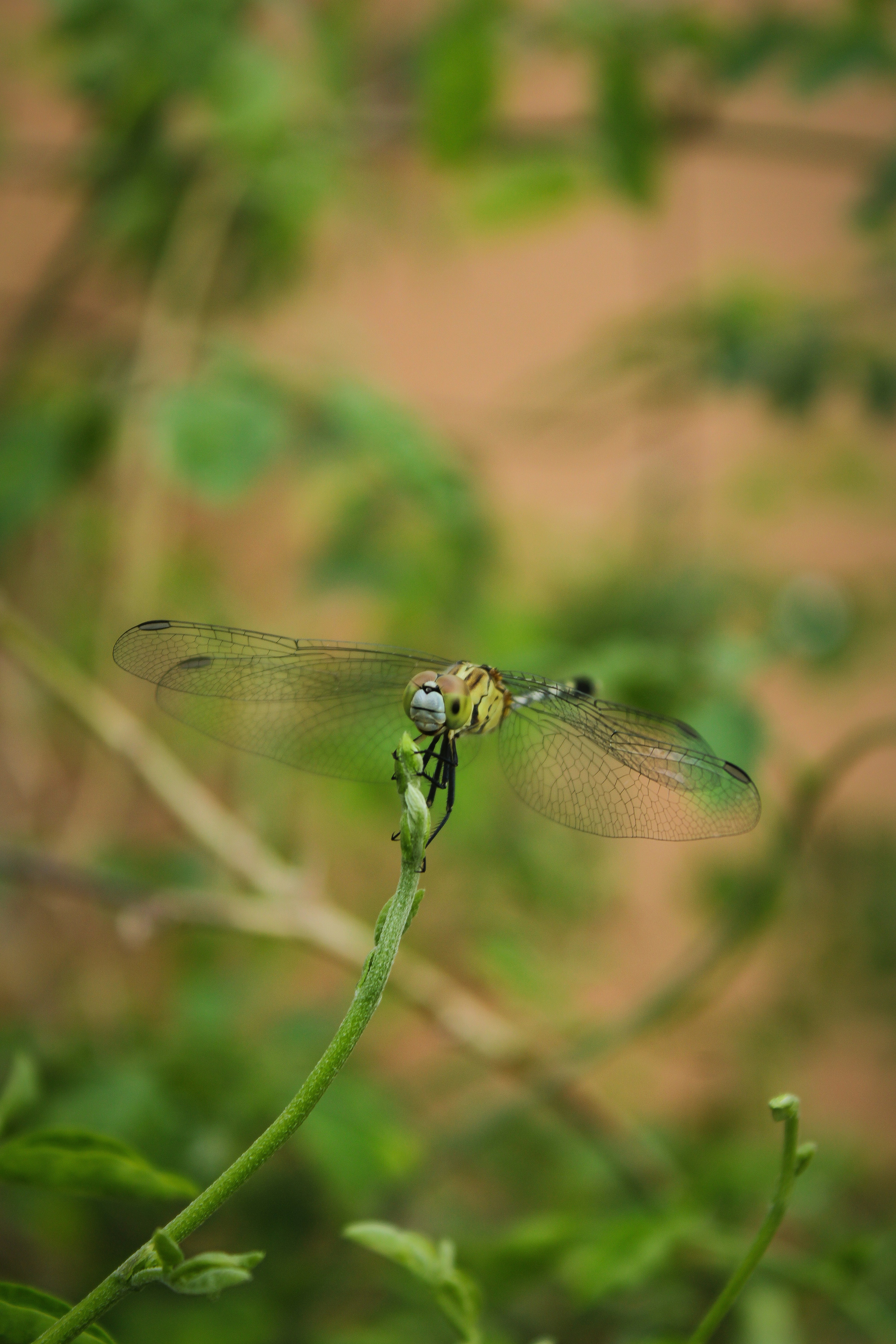 Photo by neelmoon1314