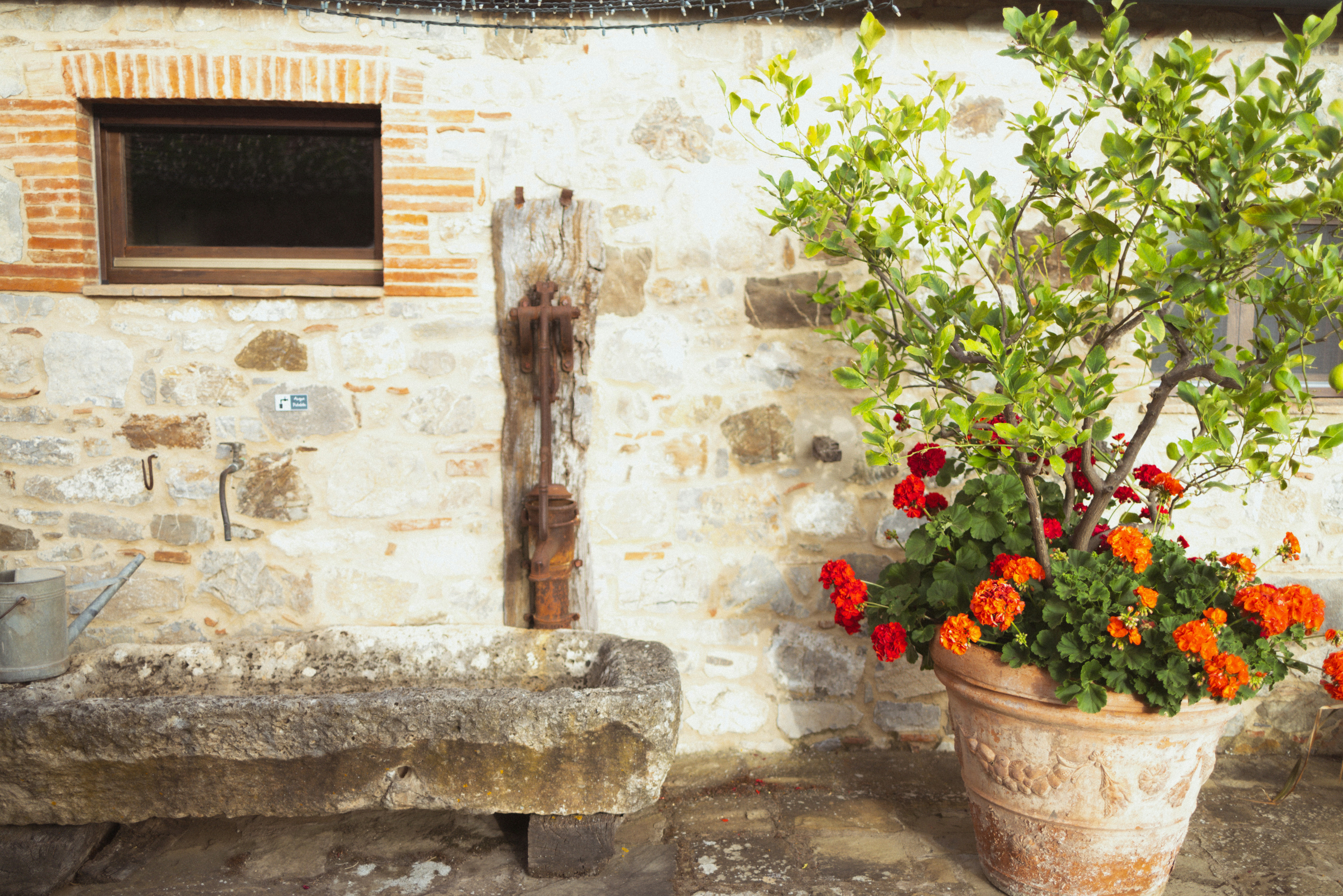 Photo by joshwithers