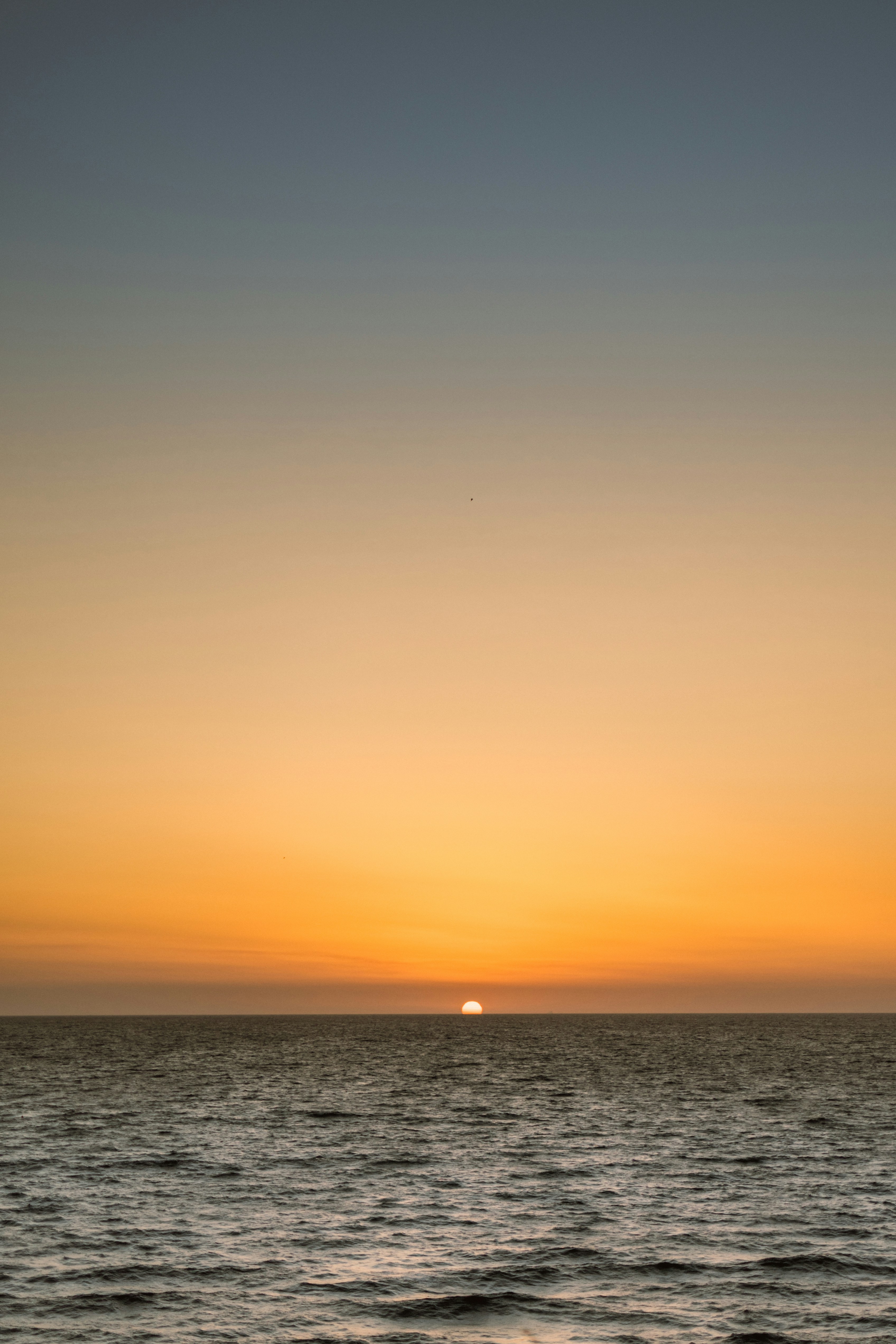 Photo by joshwithers