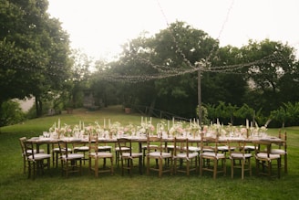 A long table set up in the middle of a field