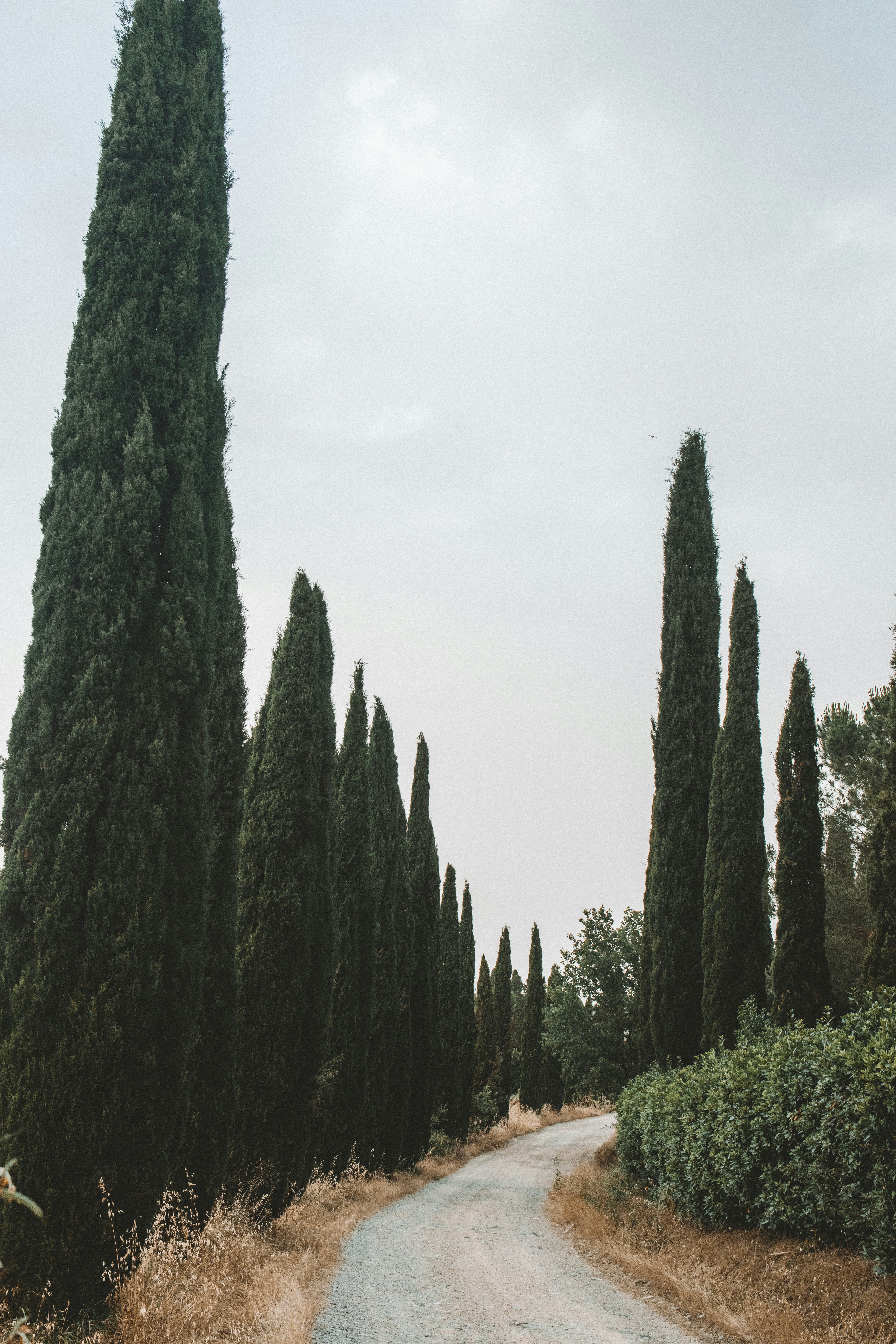 Photo by joshwithers