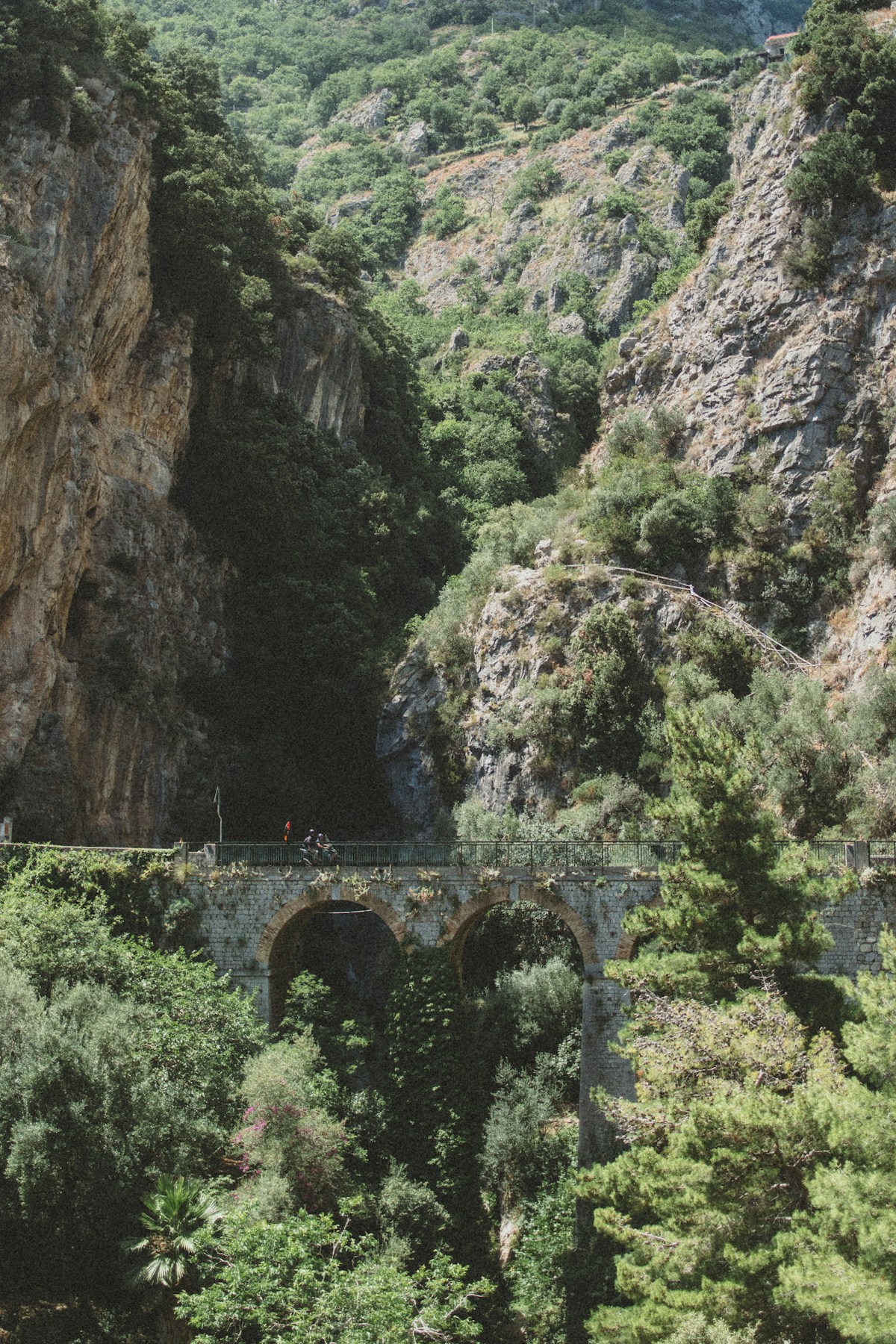 French Broad River: Asheville Urban Paddle