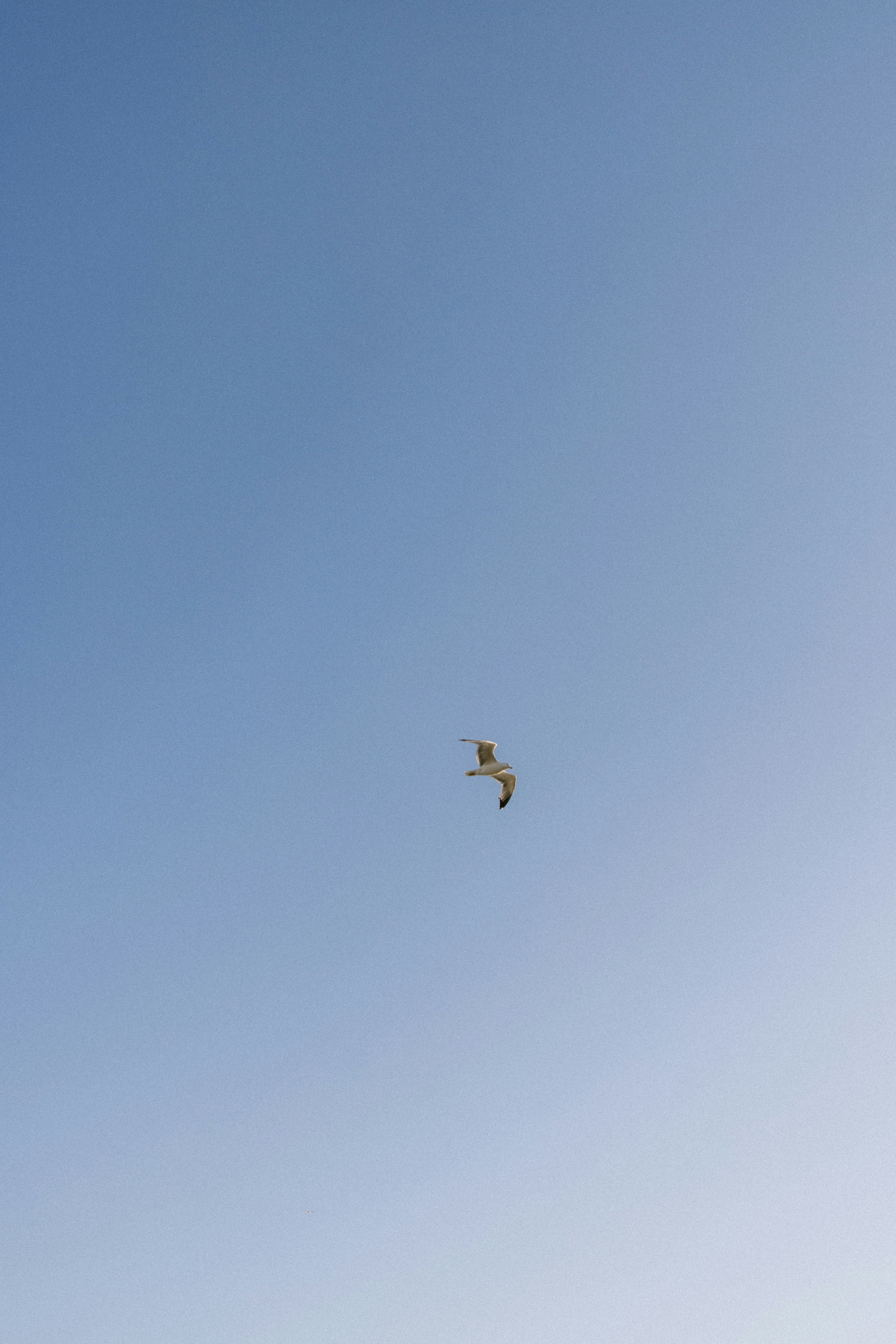 Photo by joshwithers