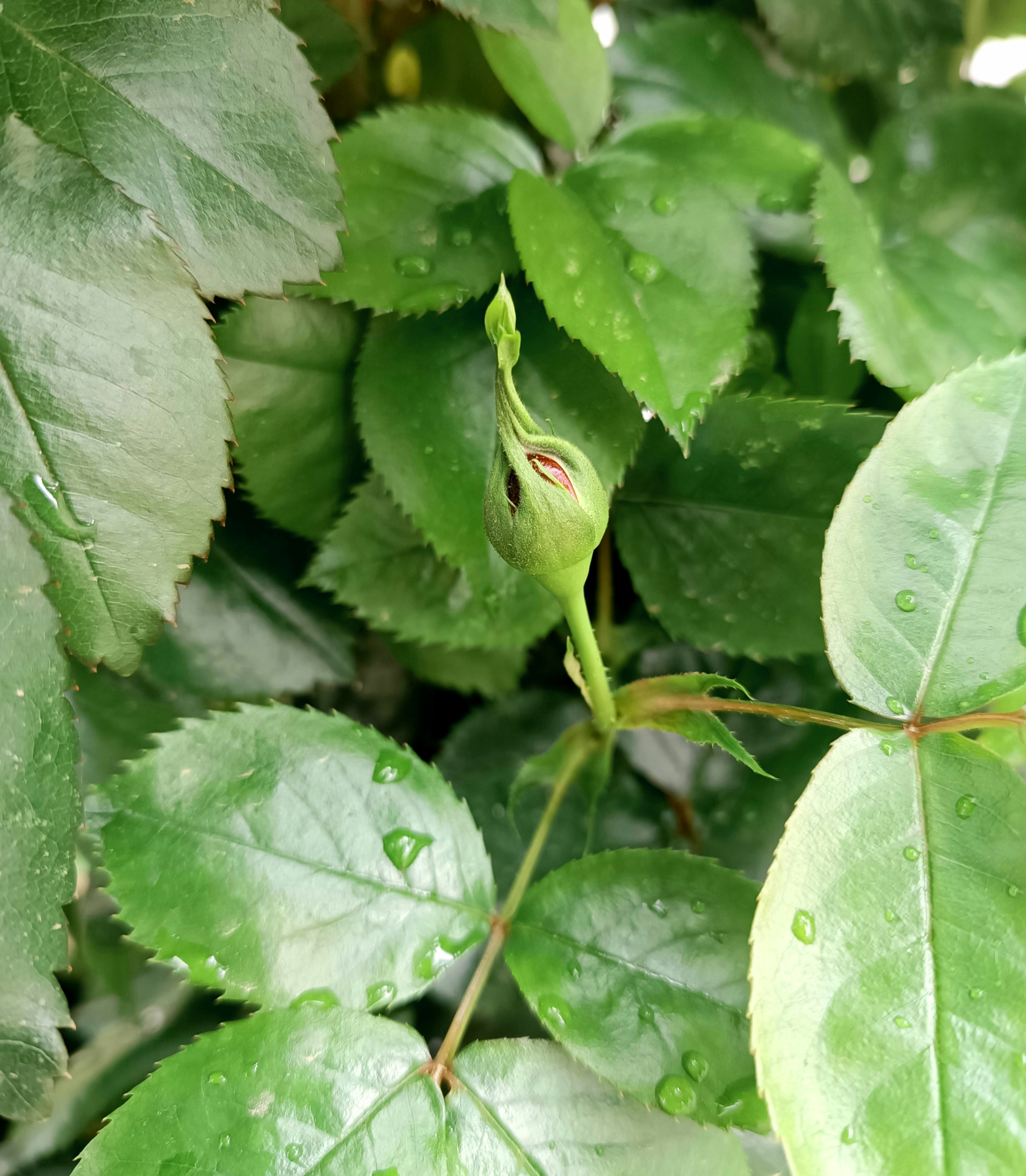 Photo by paris_nature_photo