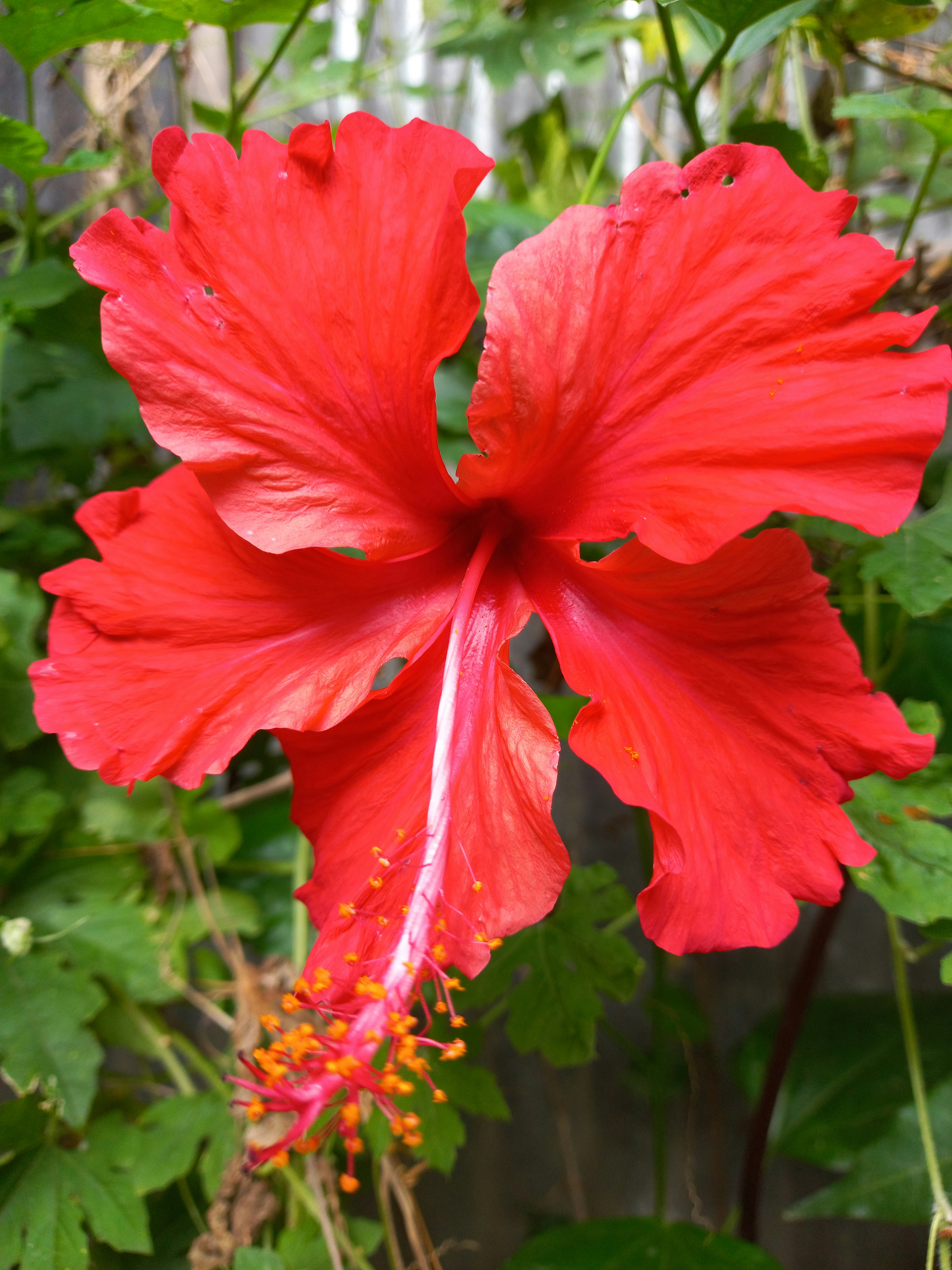 Photo by riatulhasan