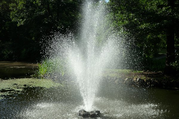 A fountain spewing water into a pond surrounded by trees — Wrocław, Poland