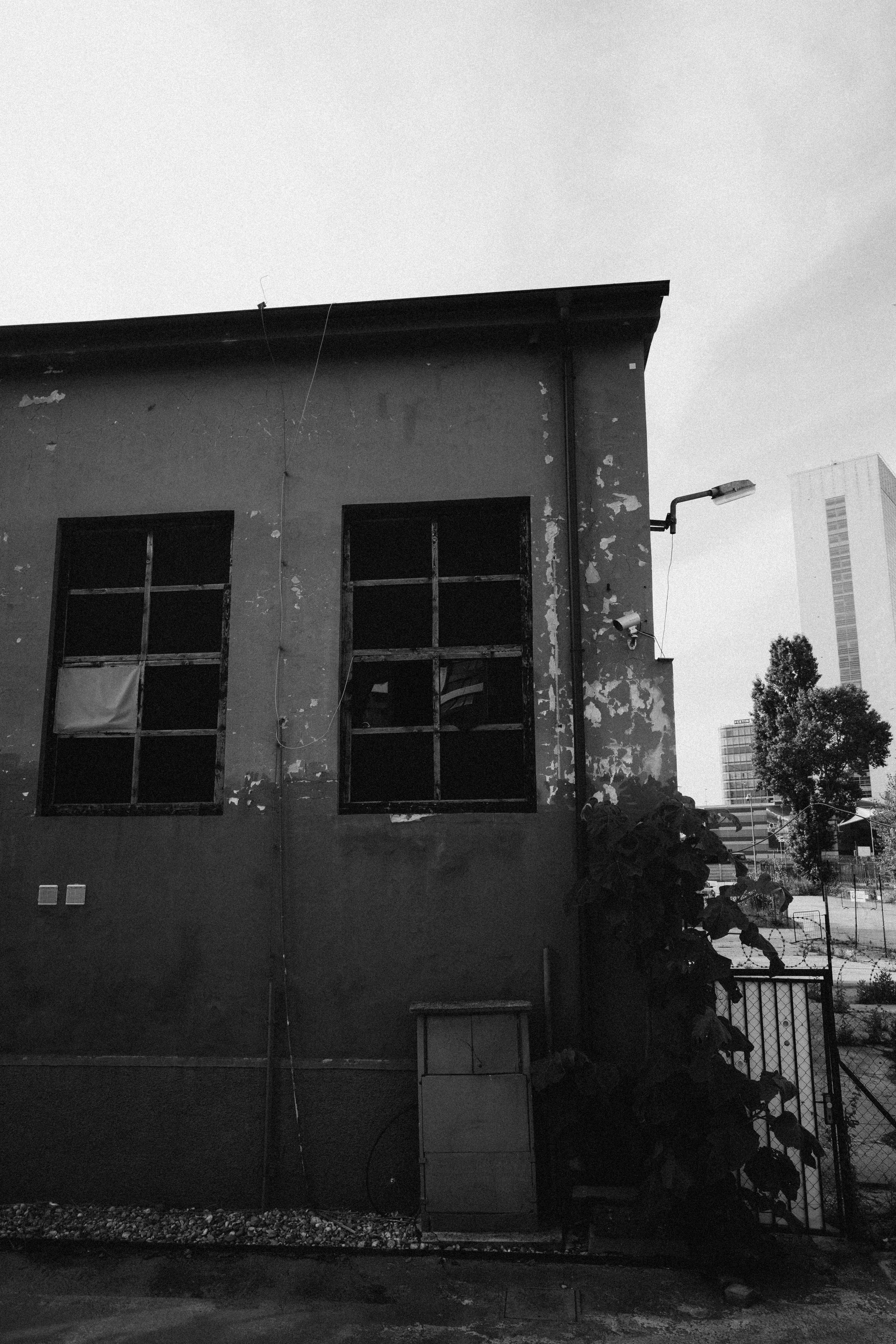 Photo by raymondpetrik