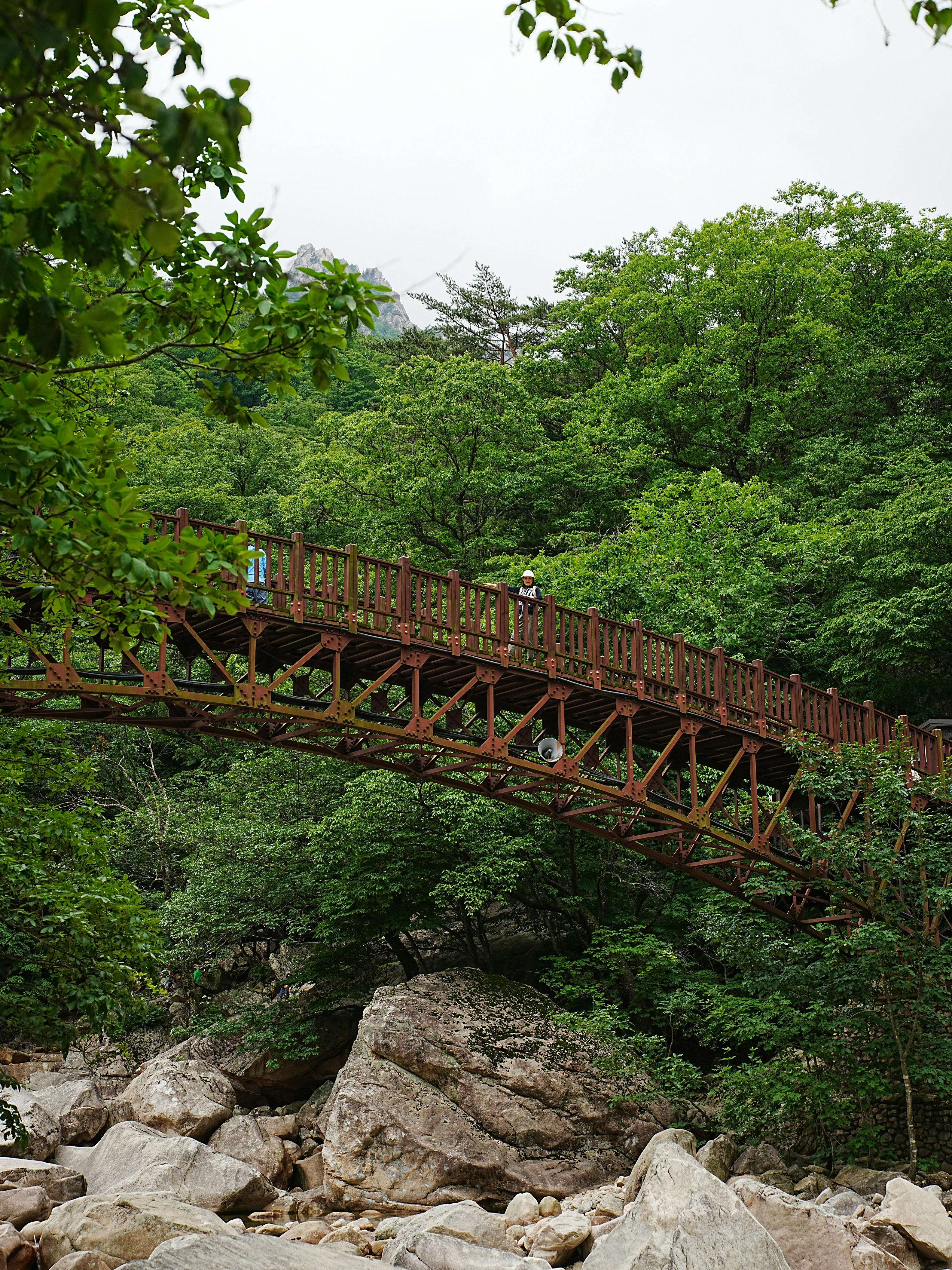 Photo by jinhan_photo