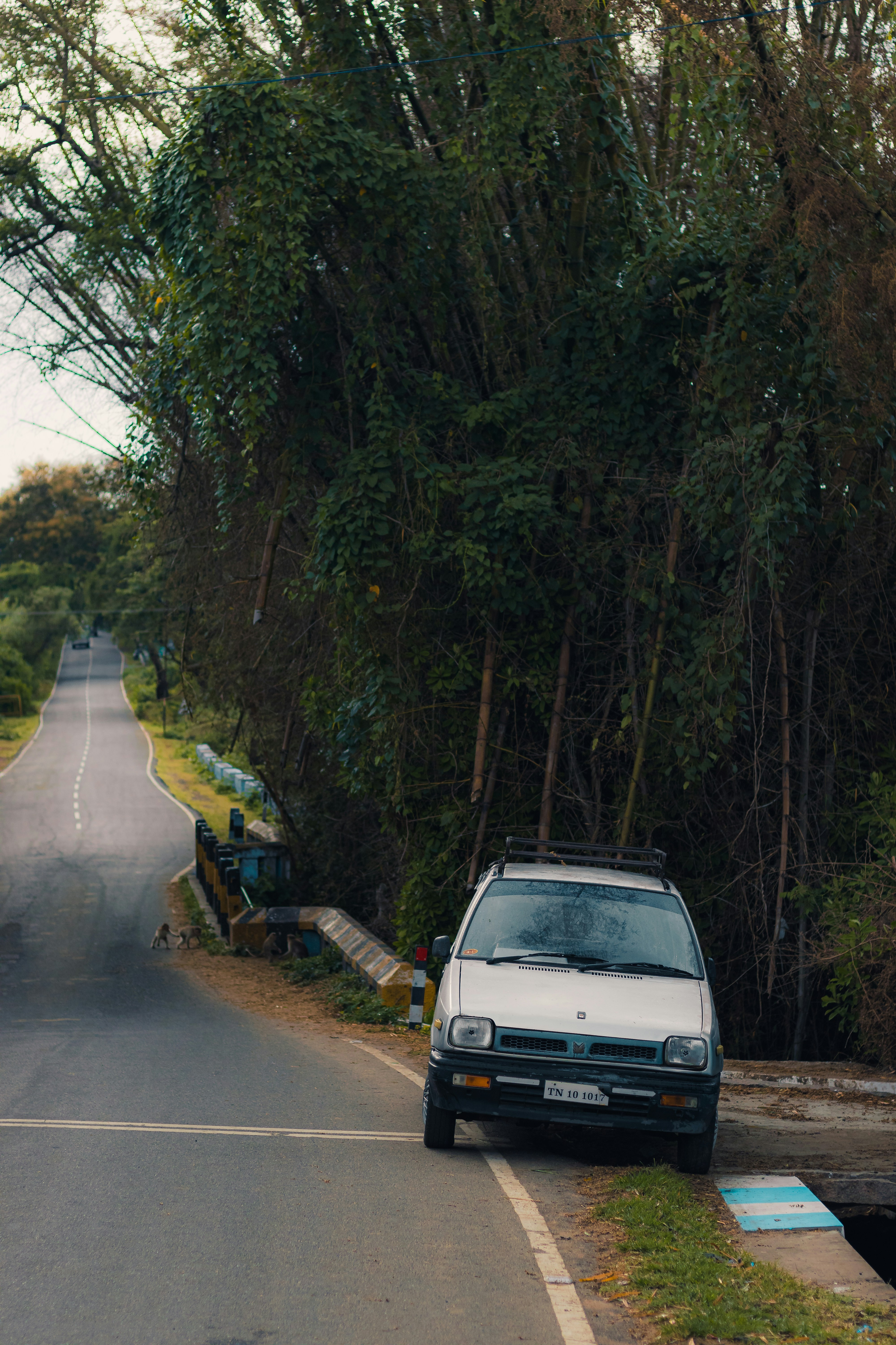 Photo by dhilipantony