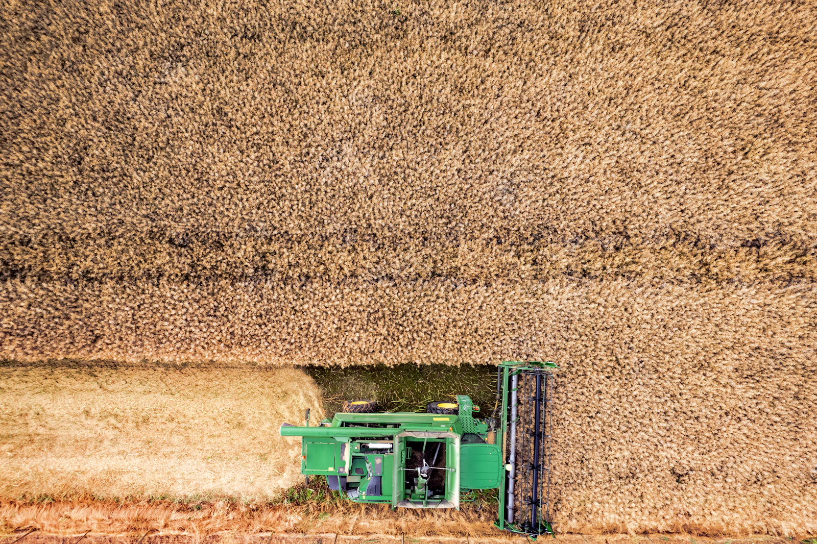 Food & Agricultural Supply