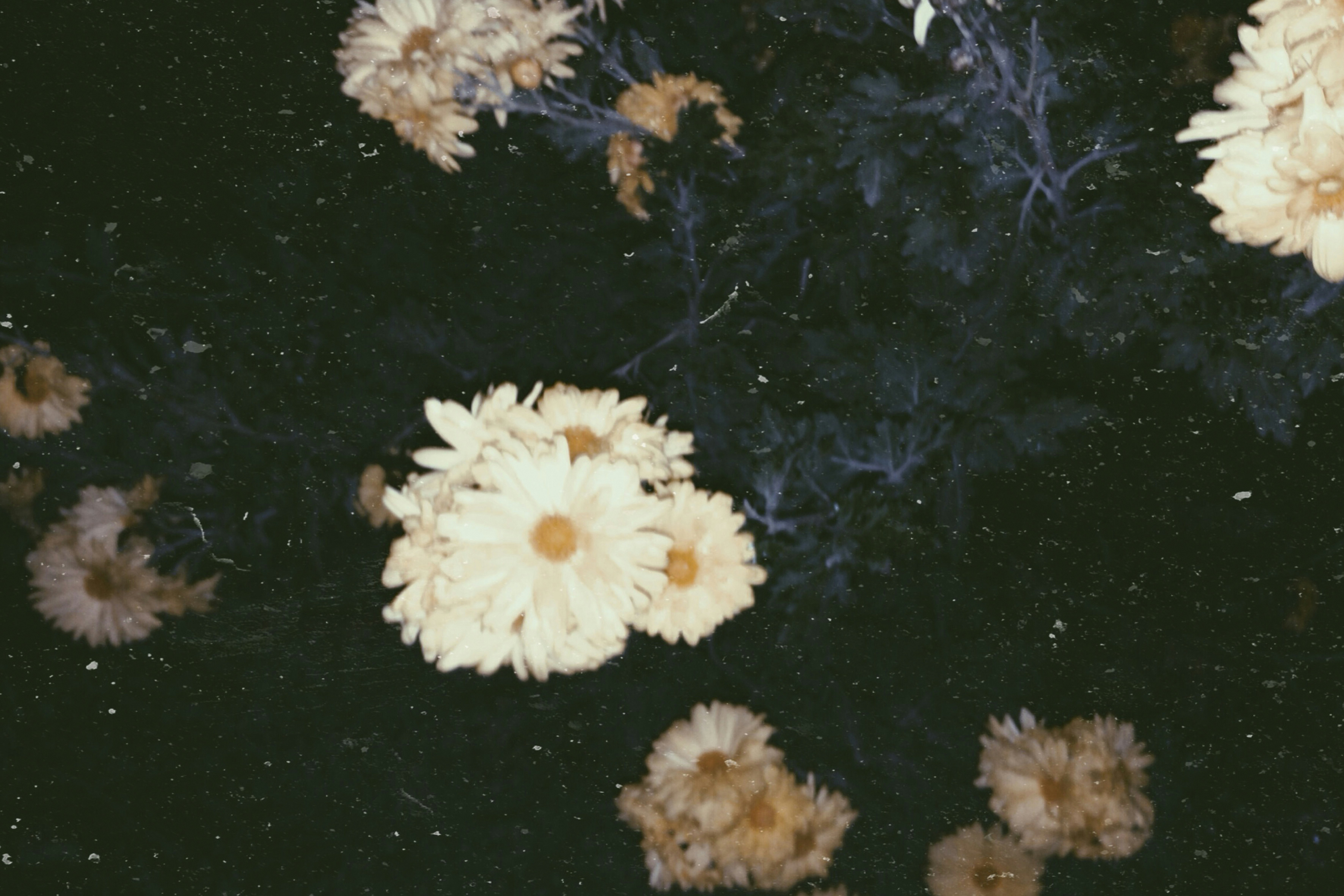 Instagram Zielgruppe verstehen und analysieren