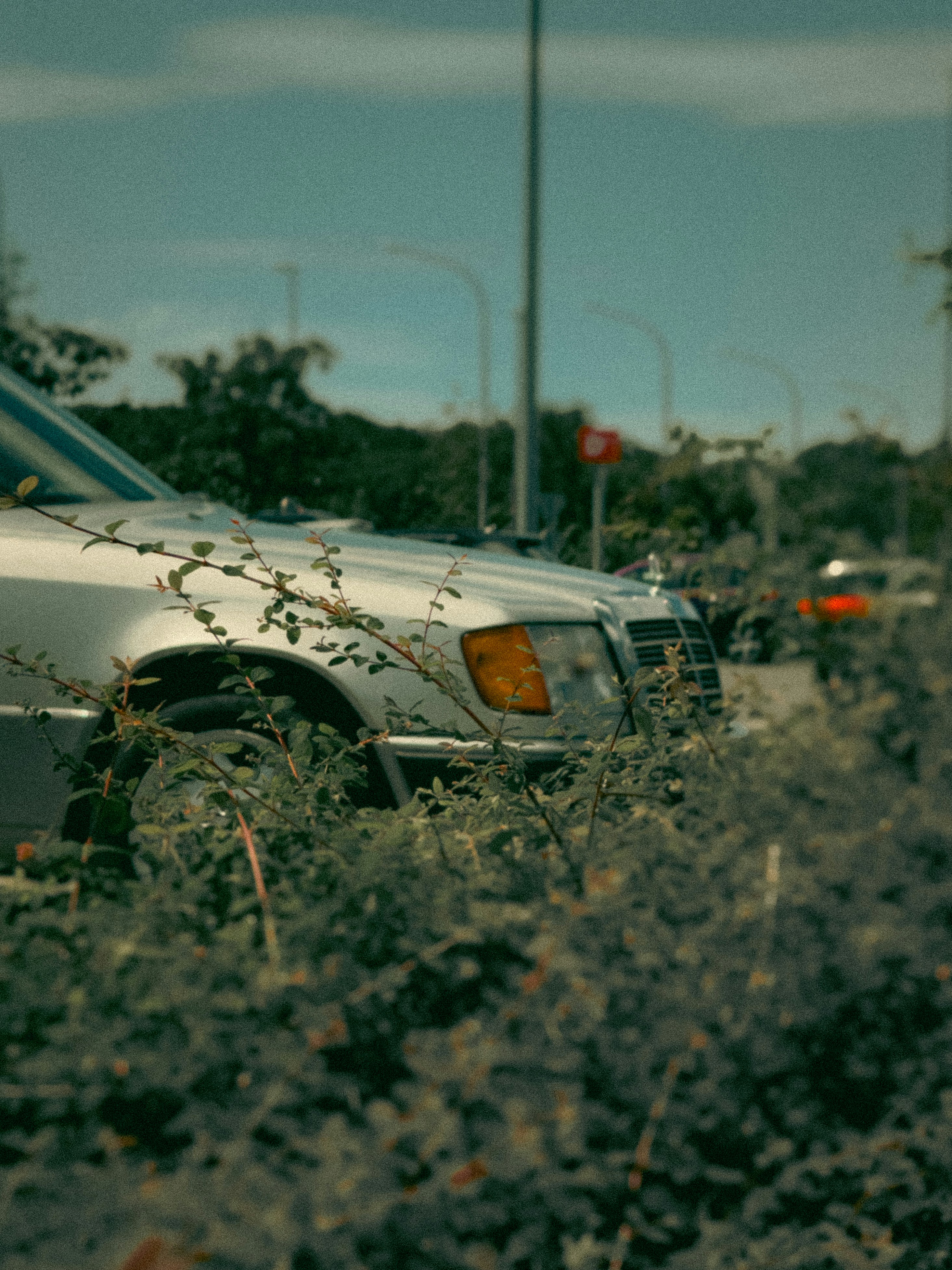 Mercedes W124 E230 Baujahr 1991 Vintage Photoshots