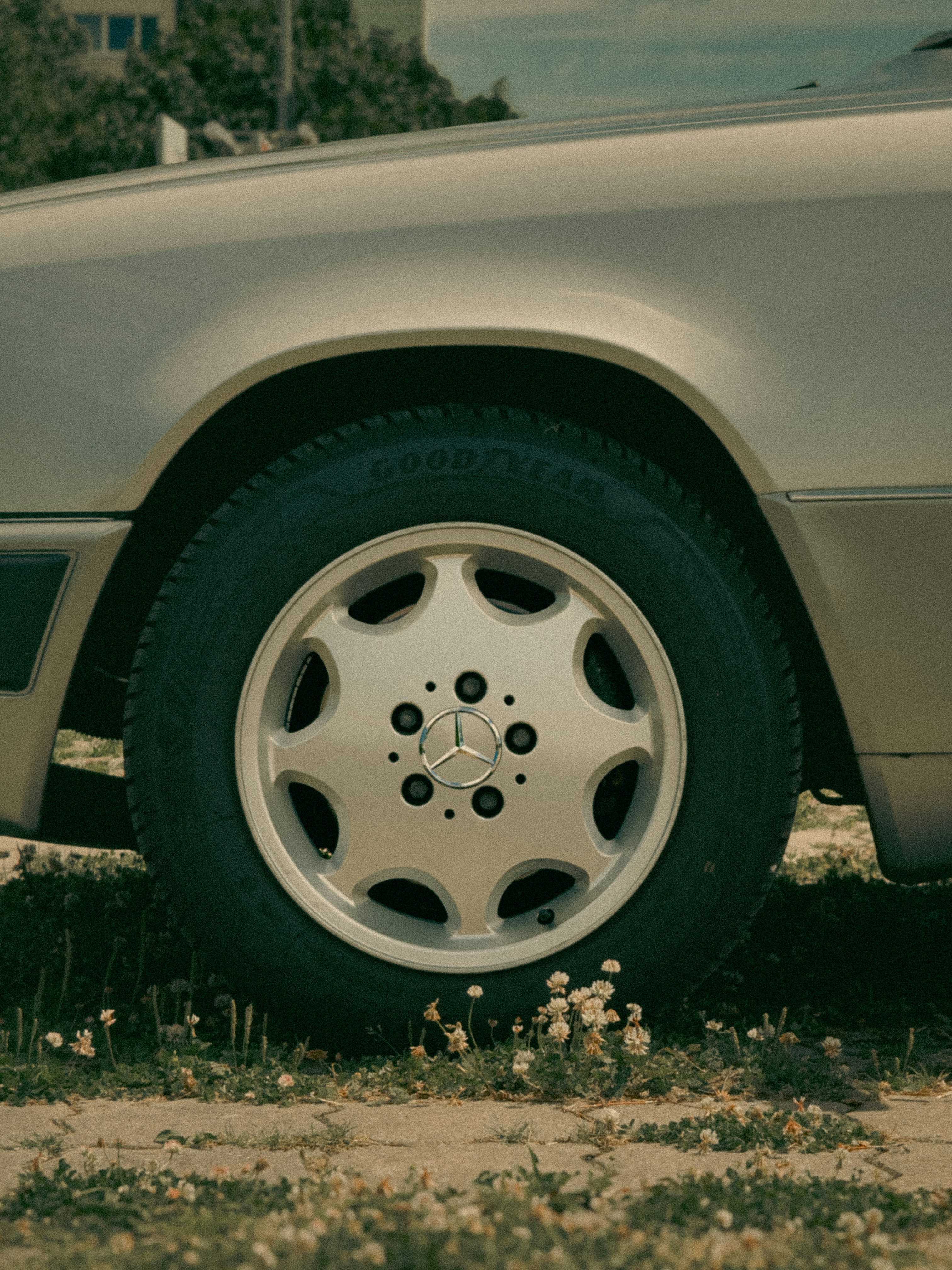 Photo by timelesslucas