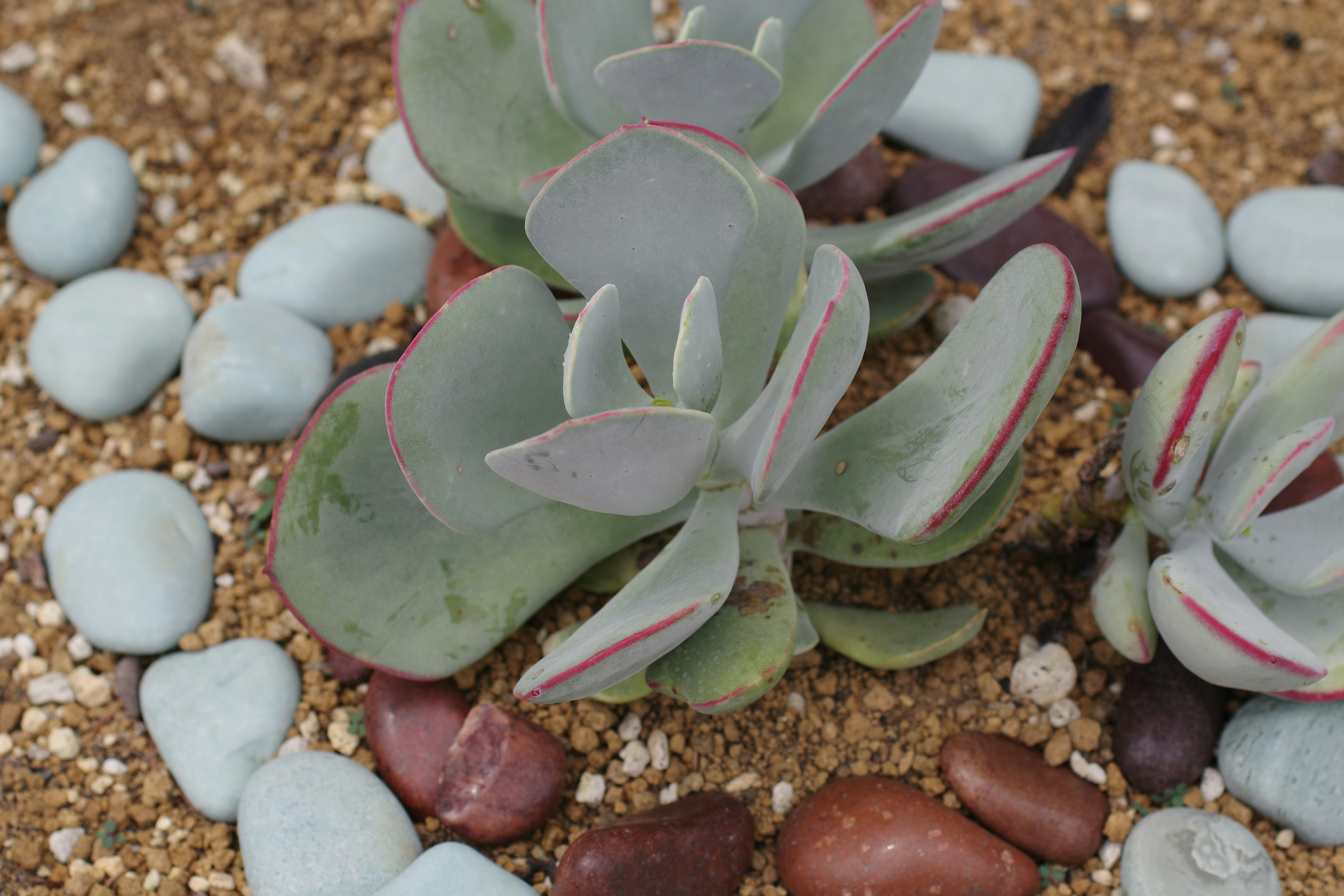 驚！90%的人都做錯！居家清潔神招，用錯方法等於白做工！
