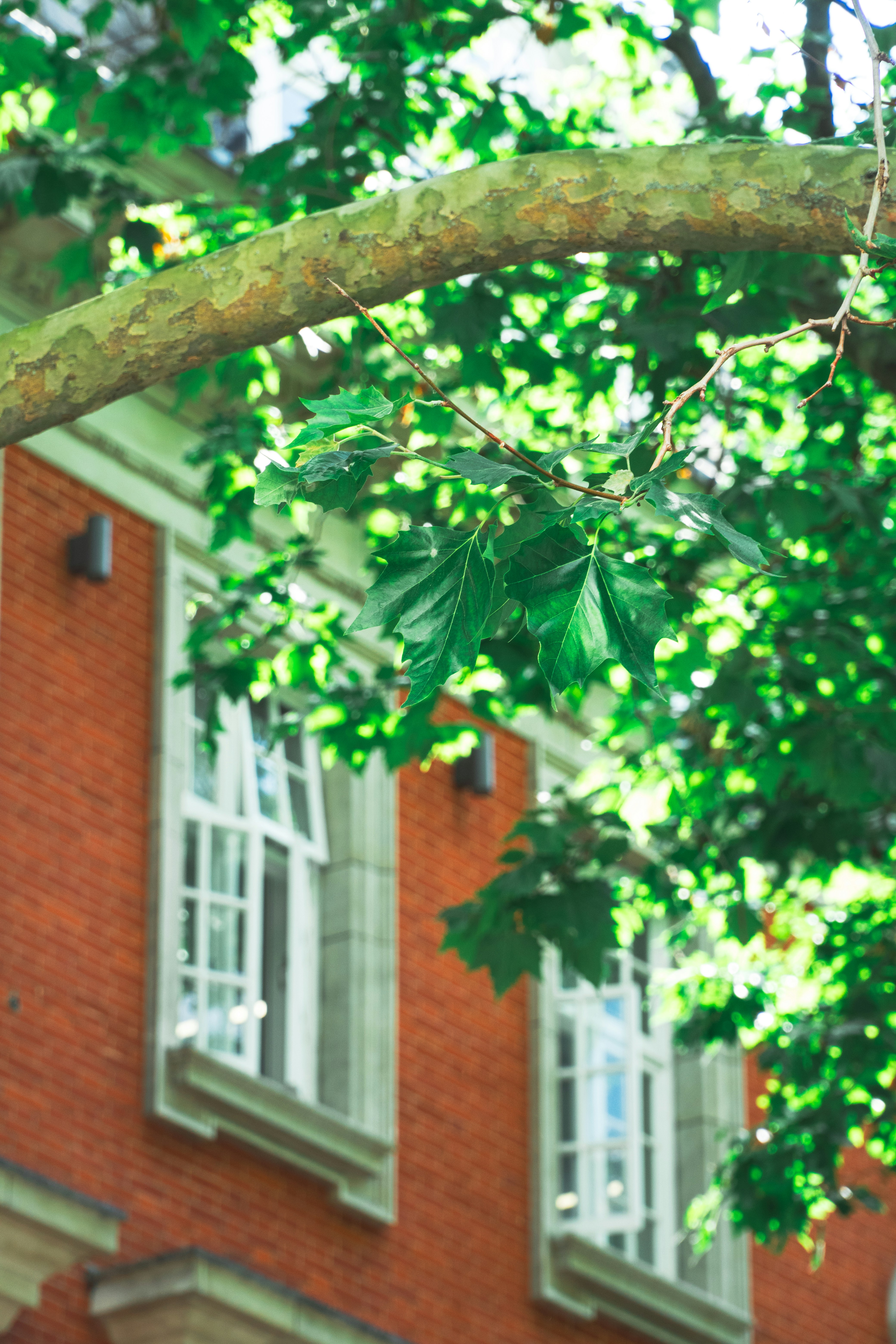 Photo by kylebushnell