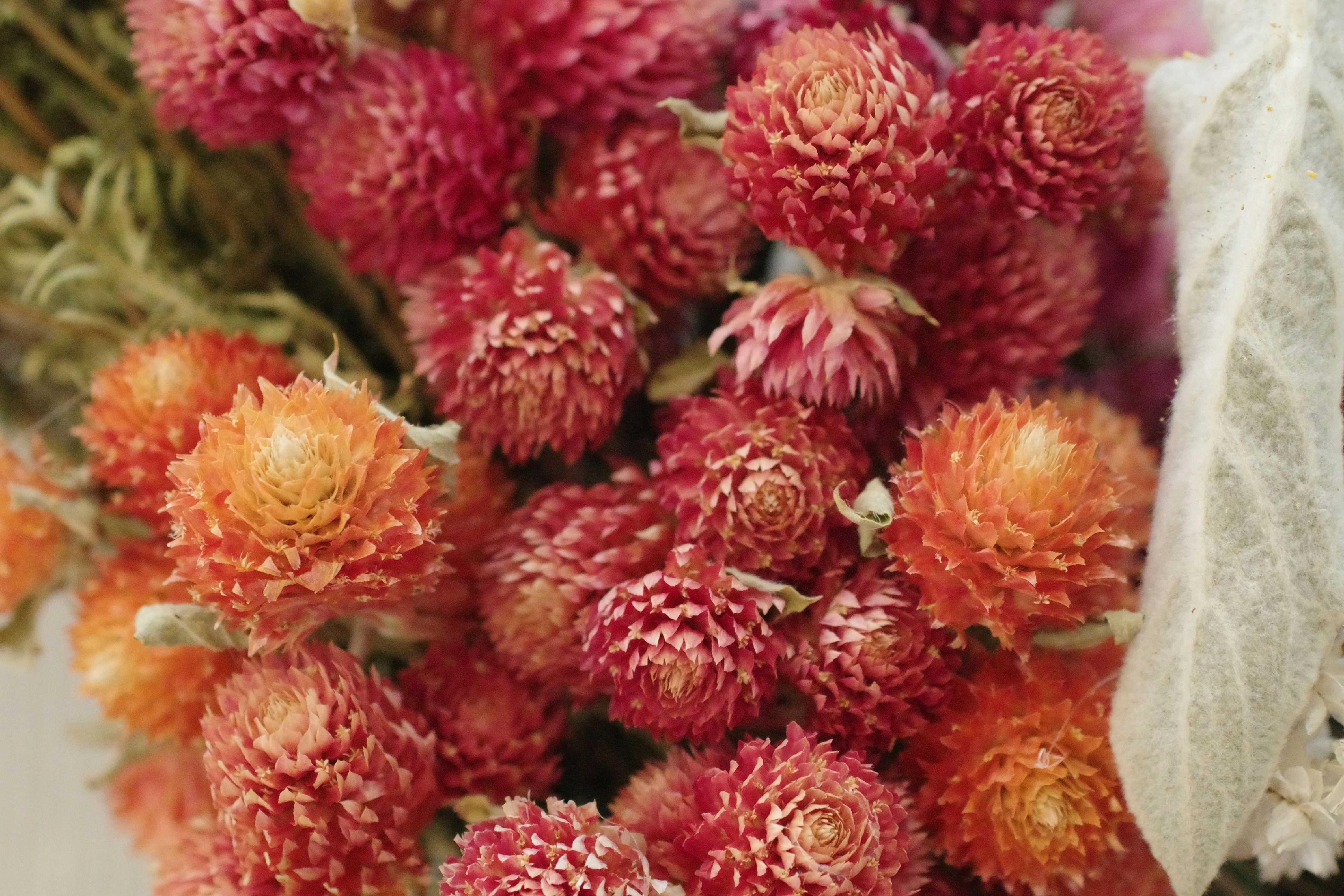 🔥 婆媳為這事大吵！家居風水禁忌，你敢挑戰就等著衰！