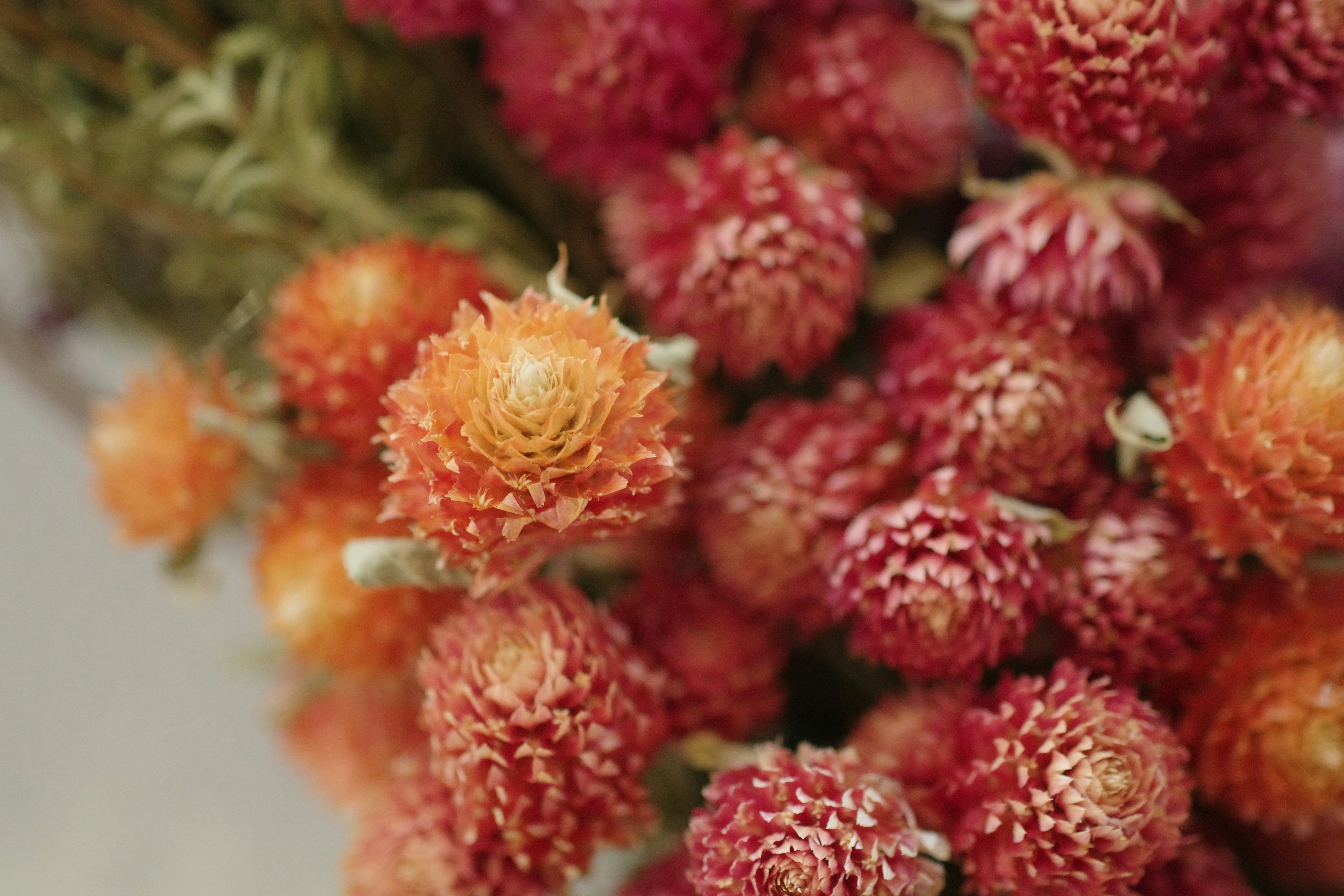 🤯震驚！這樣收納根本是亂源！婆媽界秘傳「斷捨離」終極攻略！