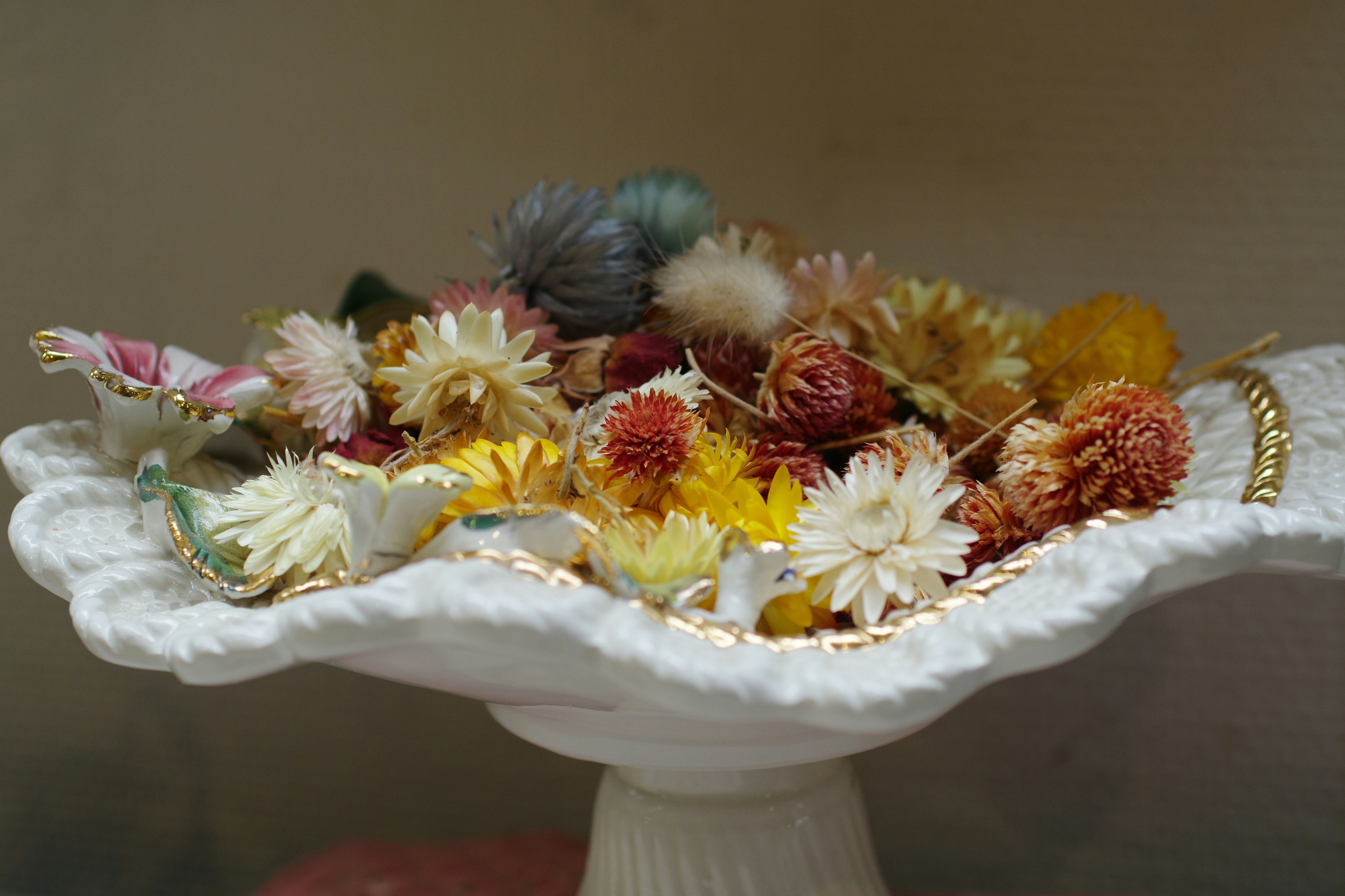 Dried flowers collection