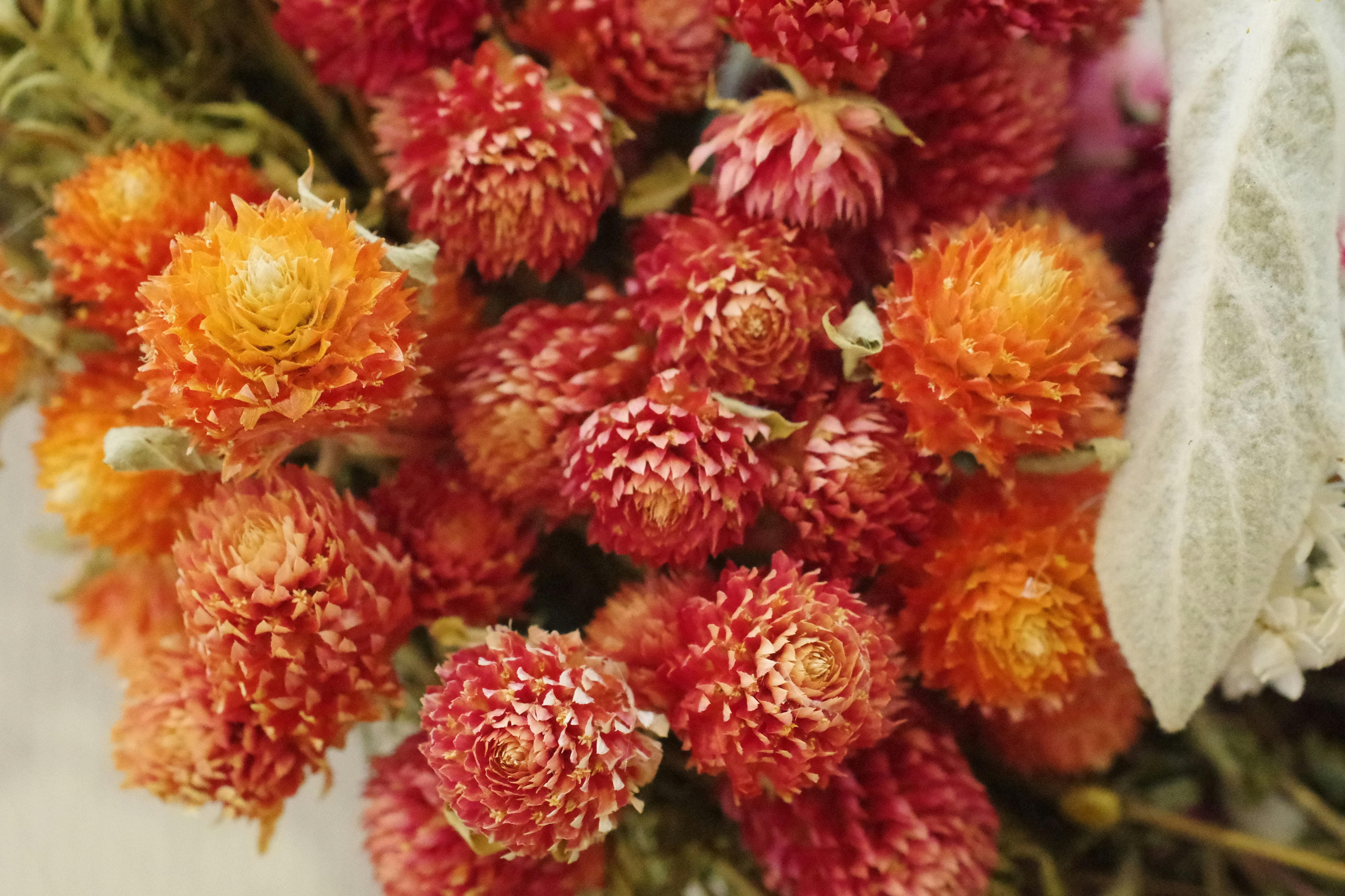 震驚！99%的人都做錯！居家清潔真相曝光，看完絕對崩潰！