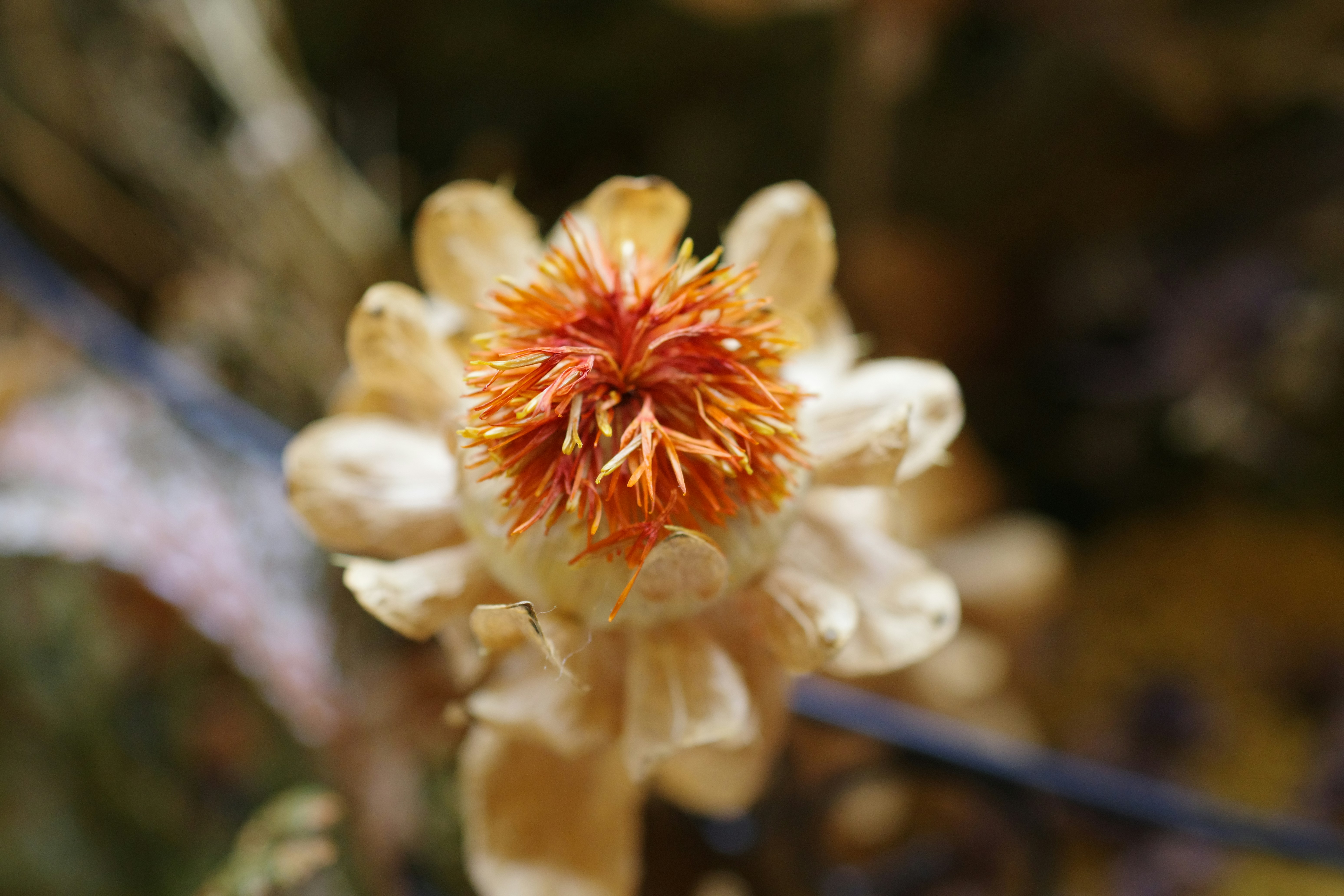 🔥震驚！這樣擺設傢俱竟然會影響你的財運？！風水大師都說準！