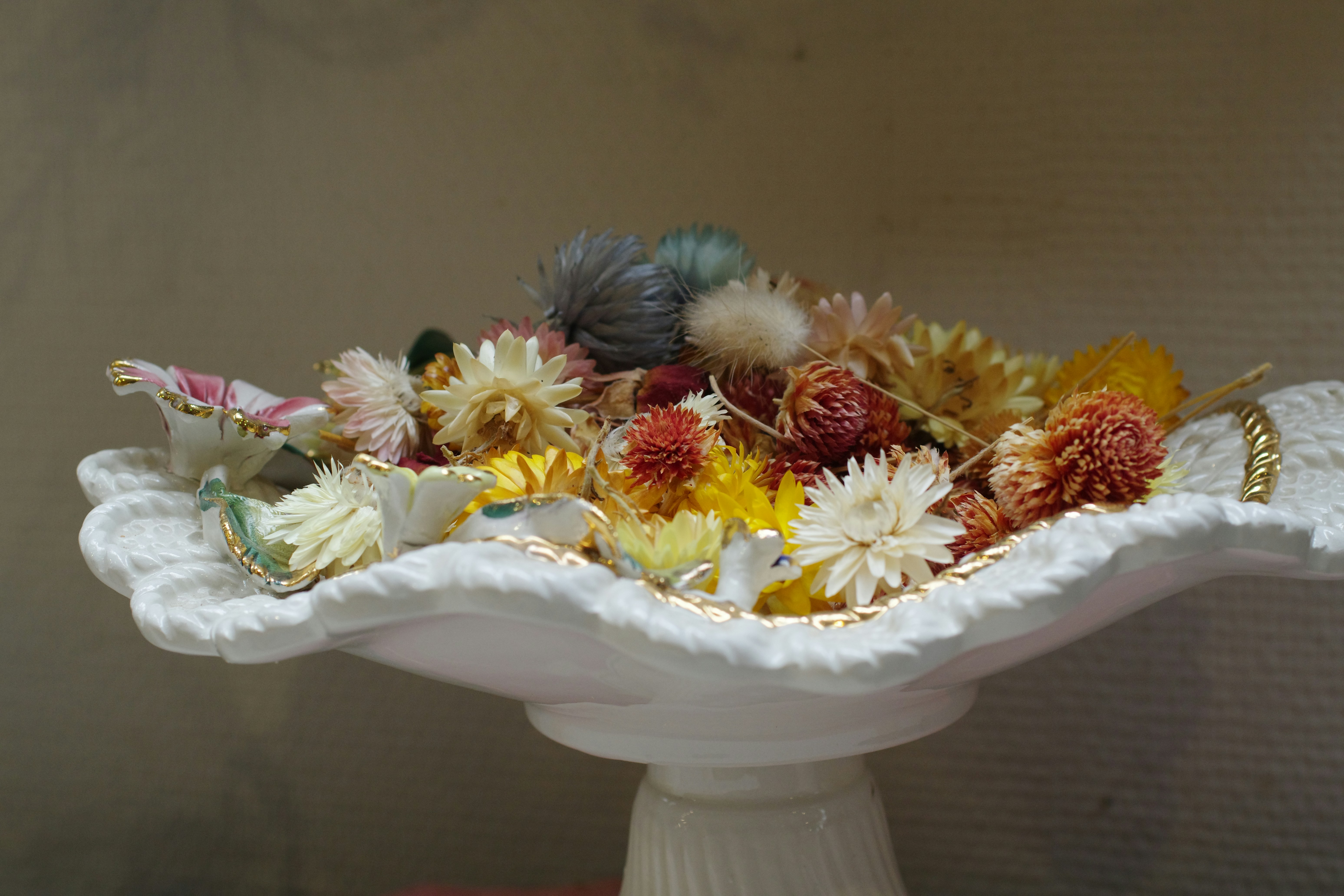 Beautiful dried flowers