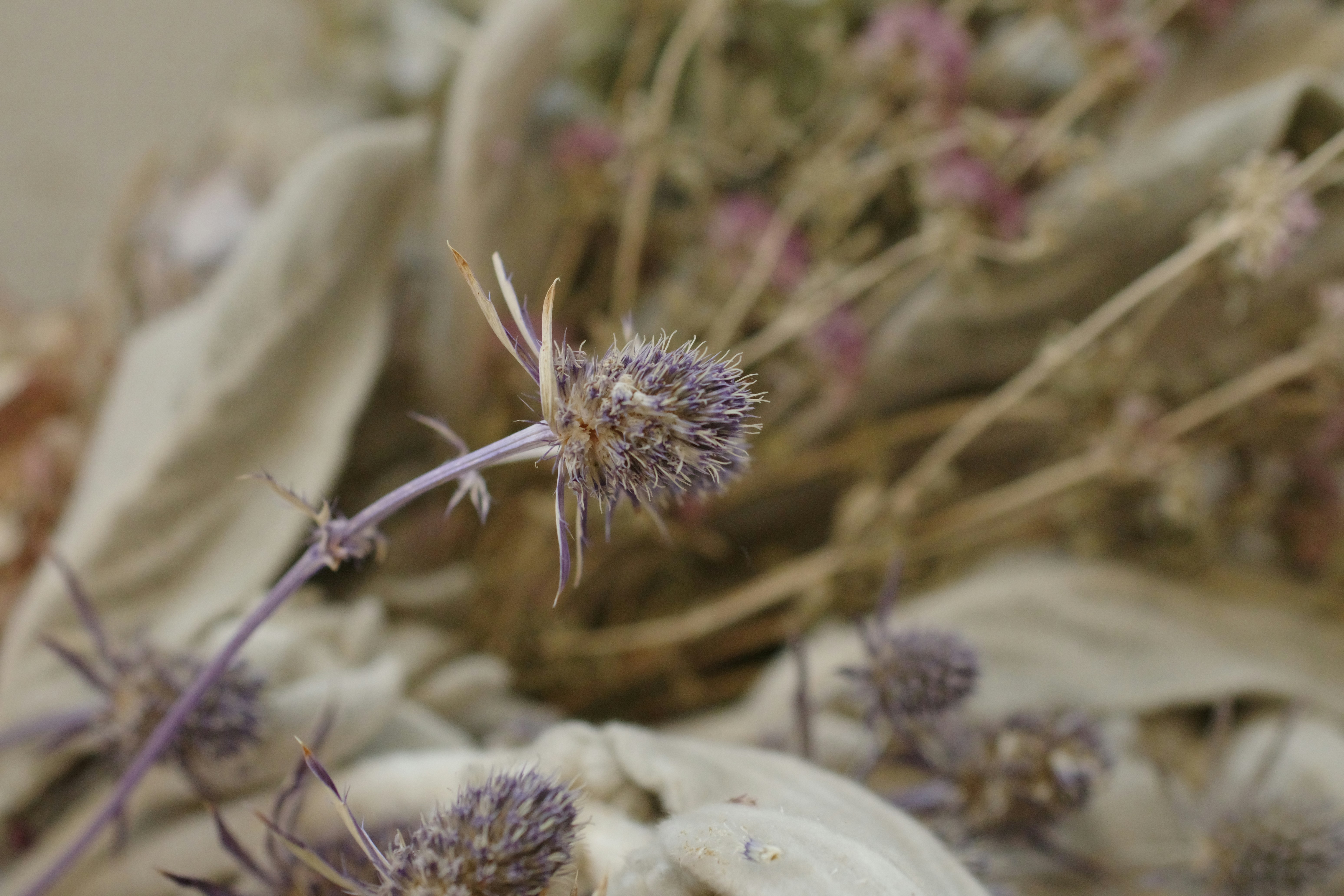 別再傻傻花錢！這幾個居家神招，讓你省下一個月薪水！