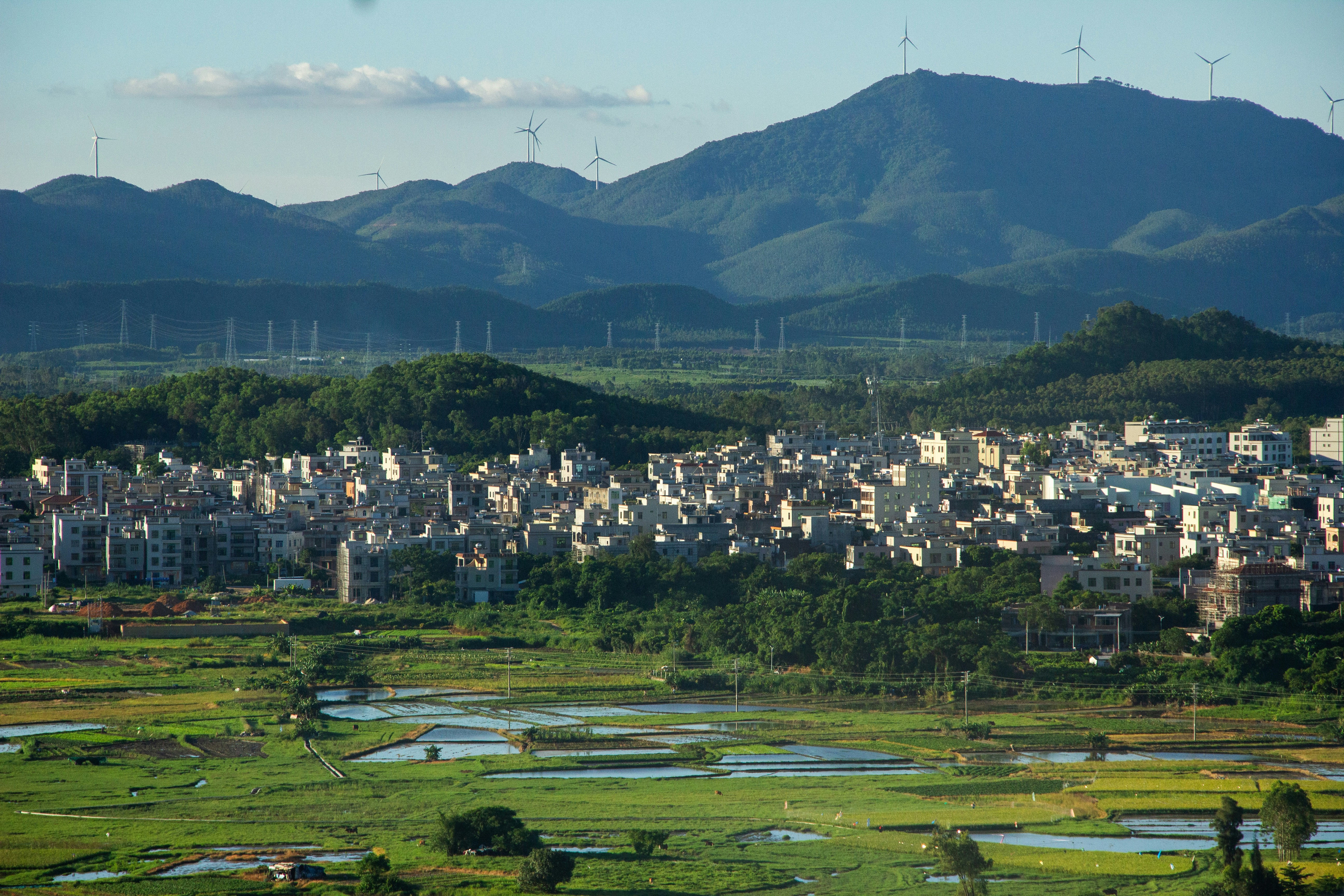 Photo by zollyphotograph